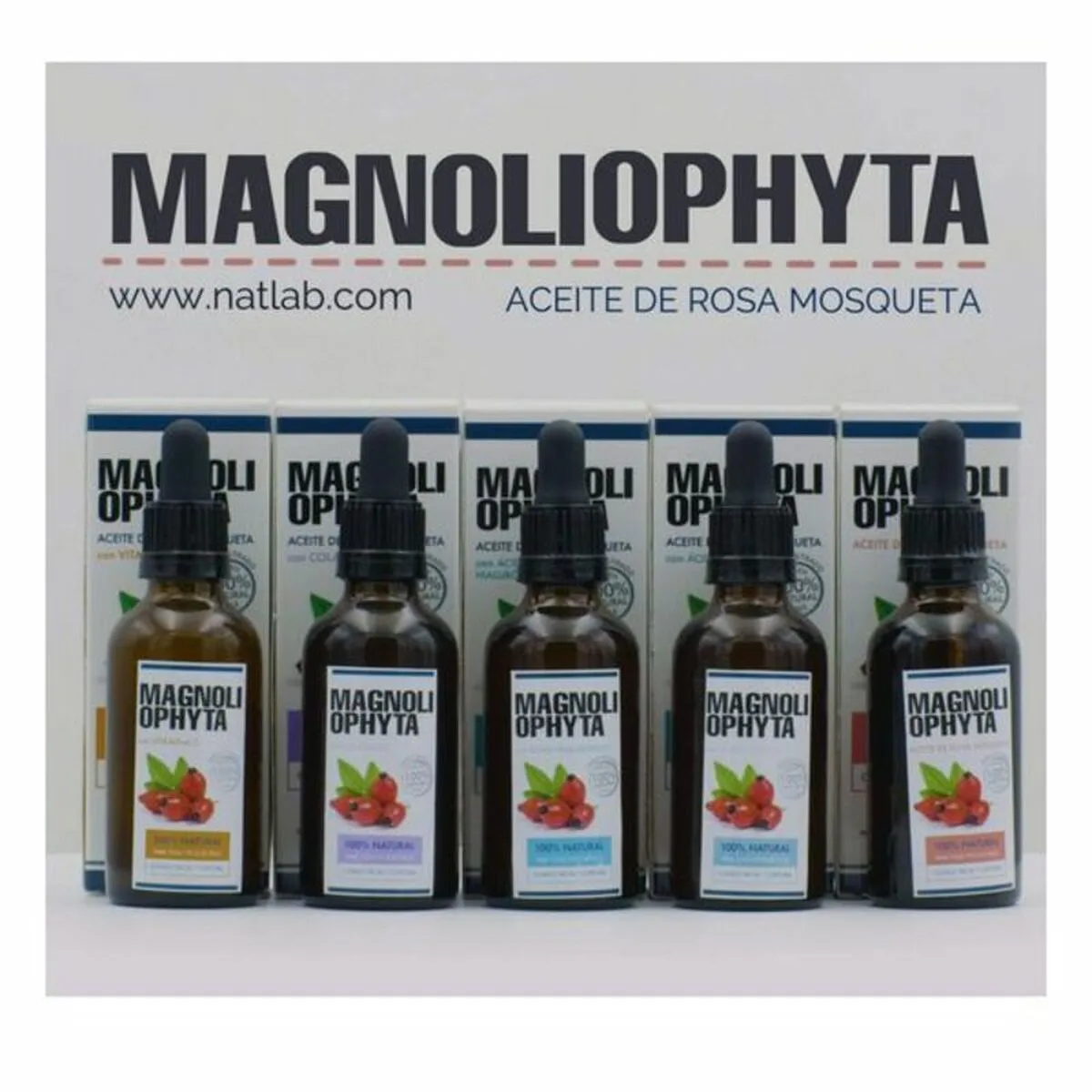 Huile visage magnoliophytha 8436592580378 30 ml 50 ml 50 ml s058178510. Diaytar a été pensé pour les multitâches, les exigeants, les pressés, les rêveurs... En somme, pour vous.