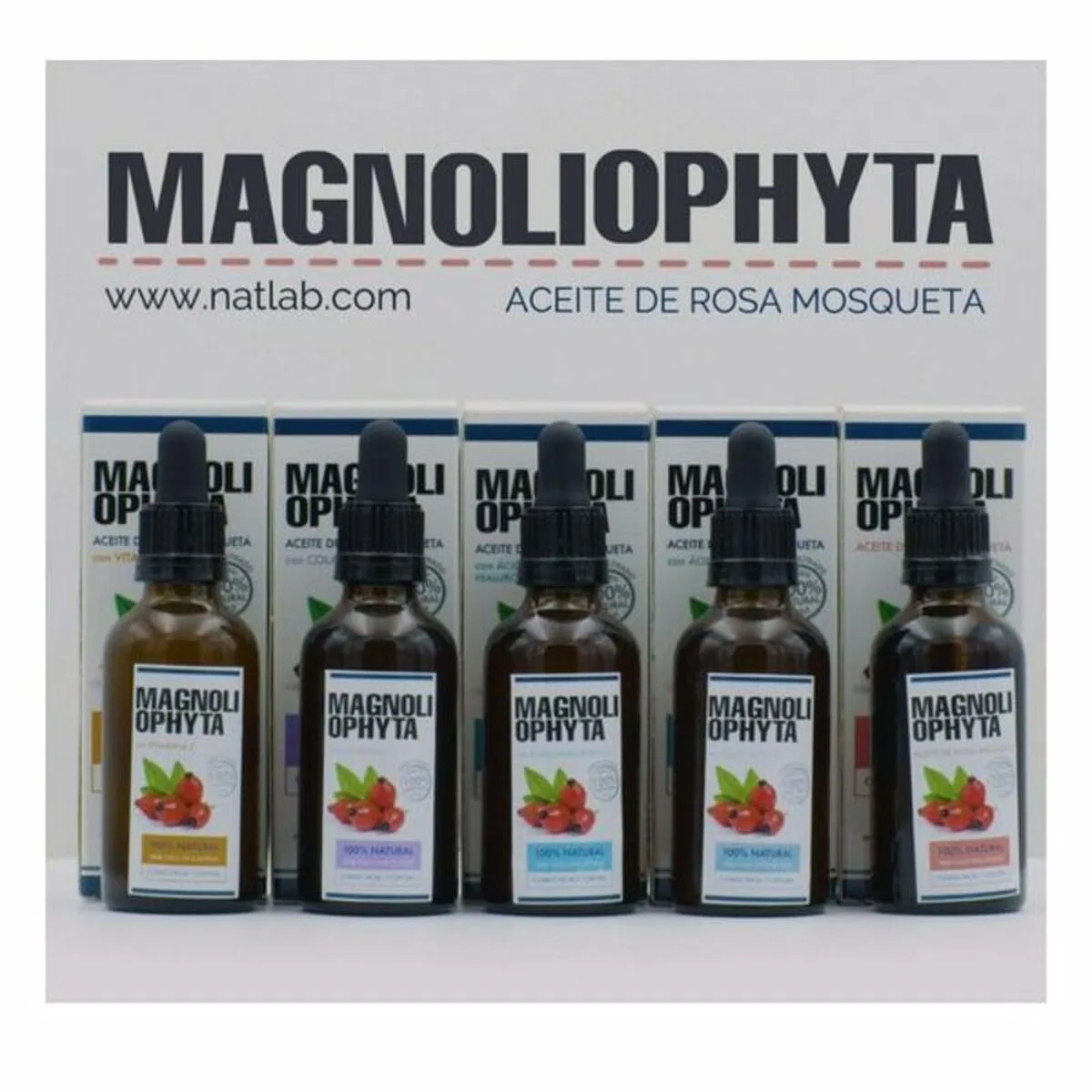 Huile visage magnoliophytha aceite de rosa mosqueta 30 ml 50 ml s058178713. Innovation, style et qualité : les trois piliers de l'expérience Diaytar.