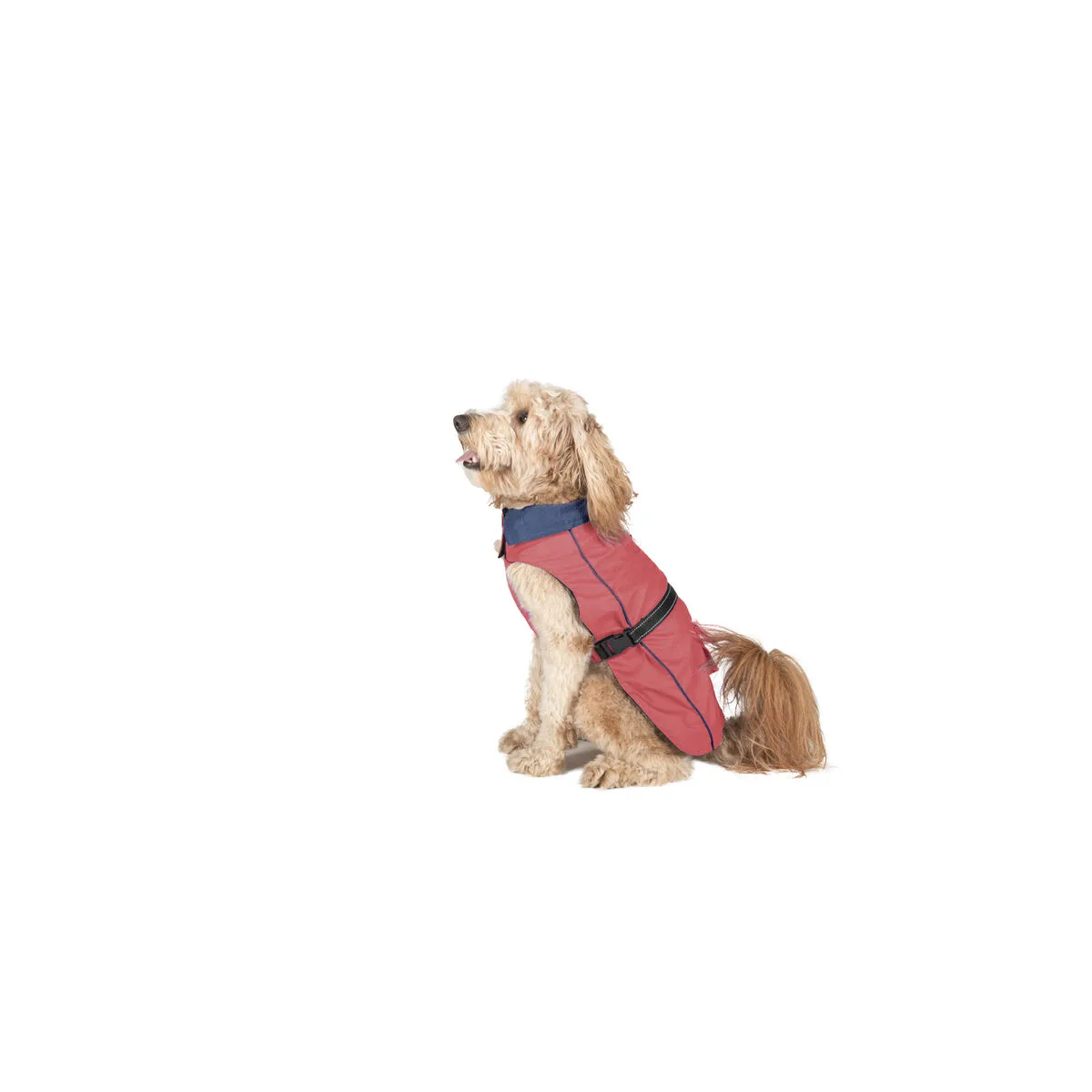 Impermeable pour chien dog gone smart corail 30 cm s610491994. Diaytar, le partenaire de ceux qui veulent une vie mieux équipée, mieux designée et plus connectée, tout simplement.Diaytar : Le laboratoire des tendances où naissent vos futurs produits préférés, des essentiels aux plus innovants.