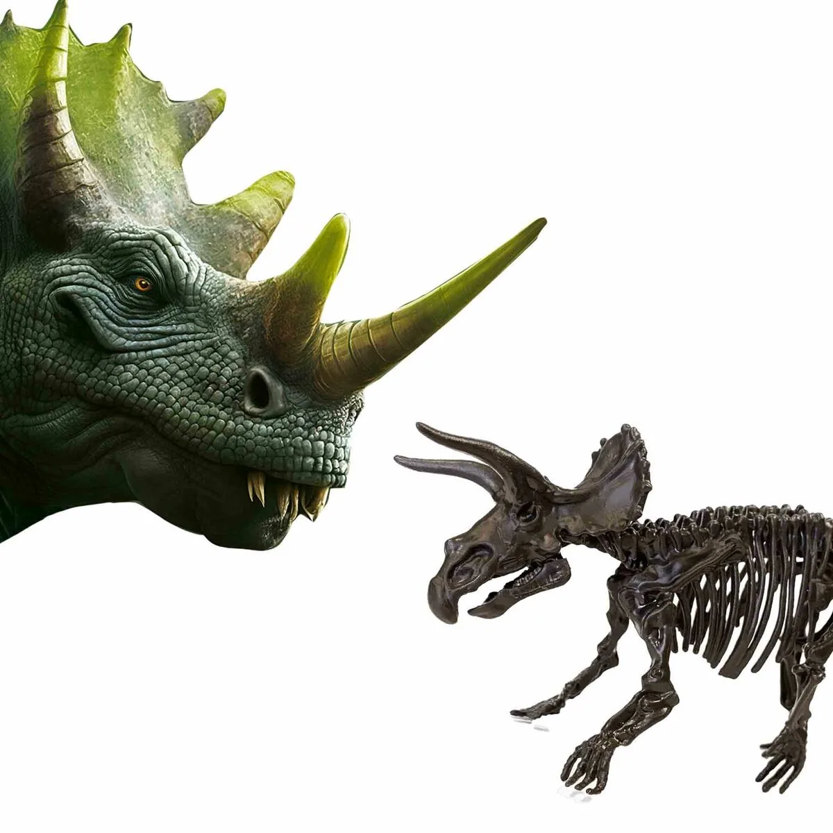 Jeu d excavation ses creative triceratops s7100178880. Diaytar, c'est l'assurance de découvrir des produits que vous ne trouverez nulle part ailleurs, tous domaines confondus