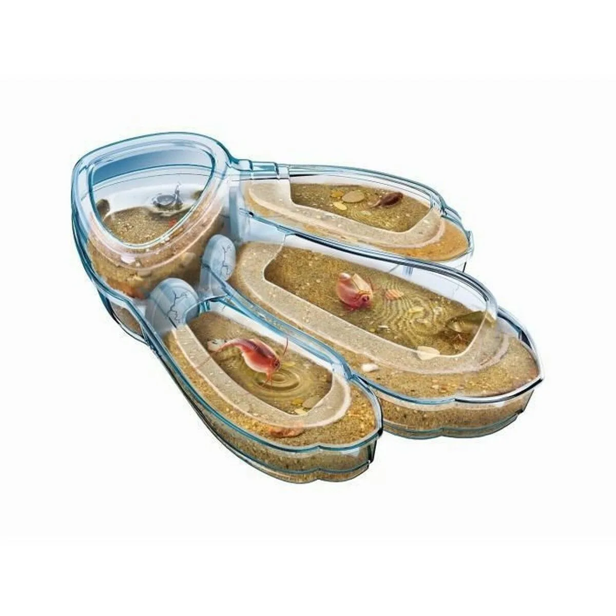Jeu scientifique clementoni triops les animaux prehistoriques fr s712345672. L'excellence à portée de clic avec la boutique en ligne Diaytar.