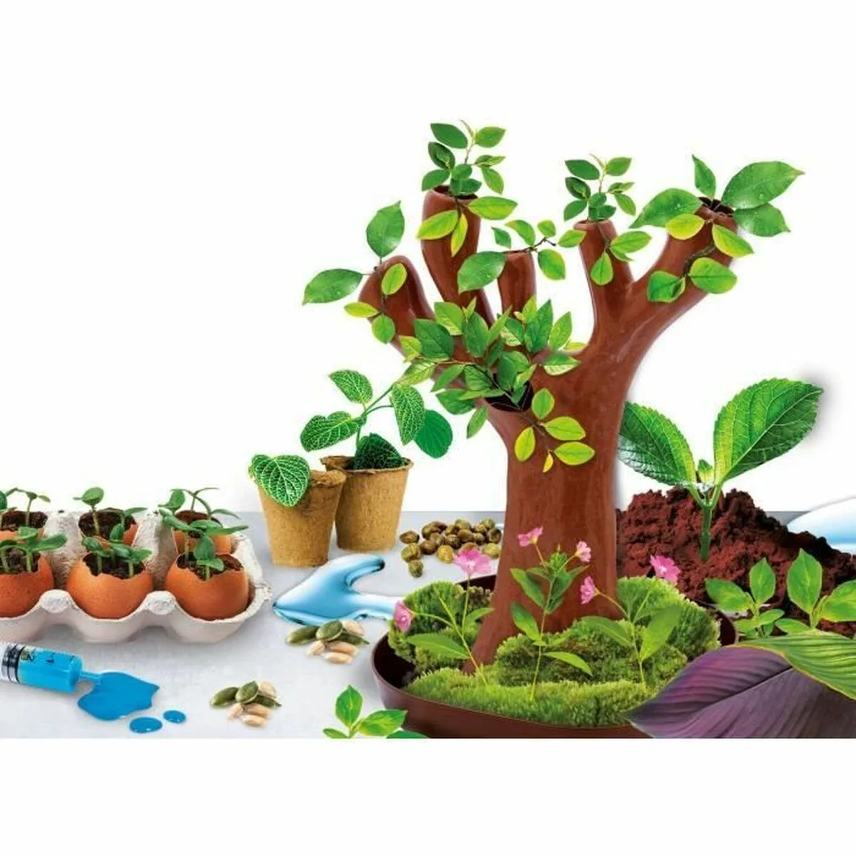 Jeu scientifique lisciani giochi botanique fr s719293316. Nous traitons chaque produit Diaytar avec le même respect que si nous devions l'offrir à un proche. La qualité est non-négociable.