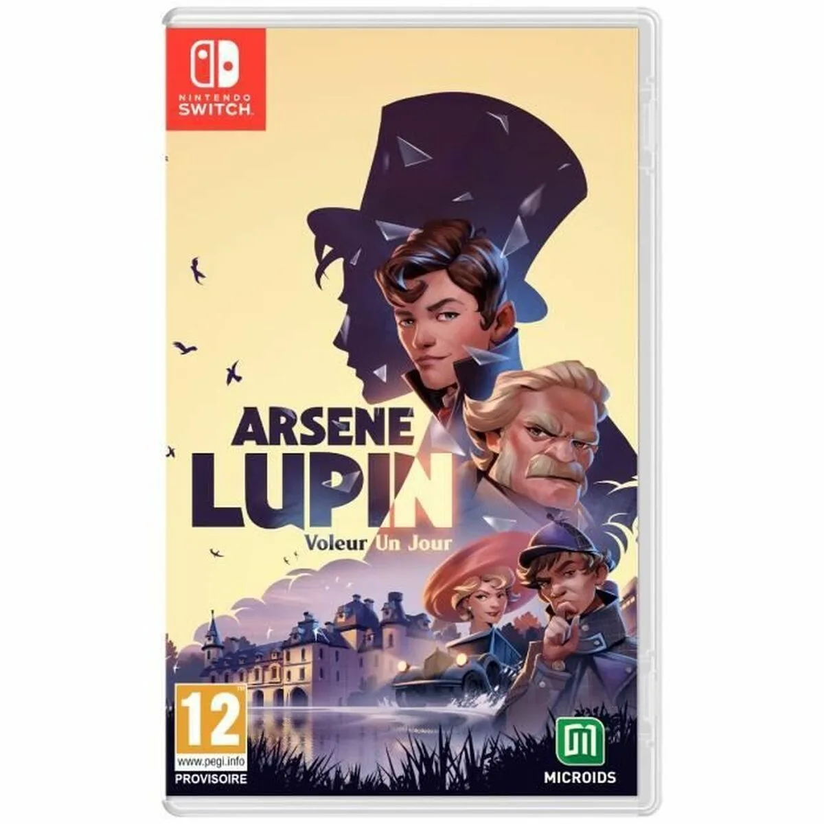 Jeu video pour switch microids arsene lupin thief for a day s7101252593. Diaytar incarne le nouveau visage du e-commerce : agile, éclectique et profondément ancré dans les tendances du moment