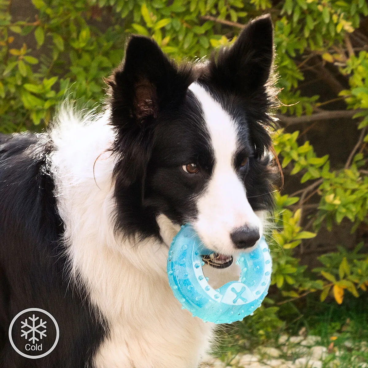 Jouet a mordre 2 en 1 congelable pour animaux de compagnie glubiz innovagoods v010369773. Les influenceurs adorent Diaytar pour ses pièces mode avant-gardistes.