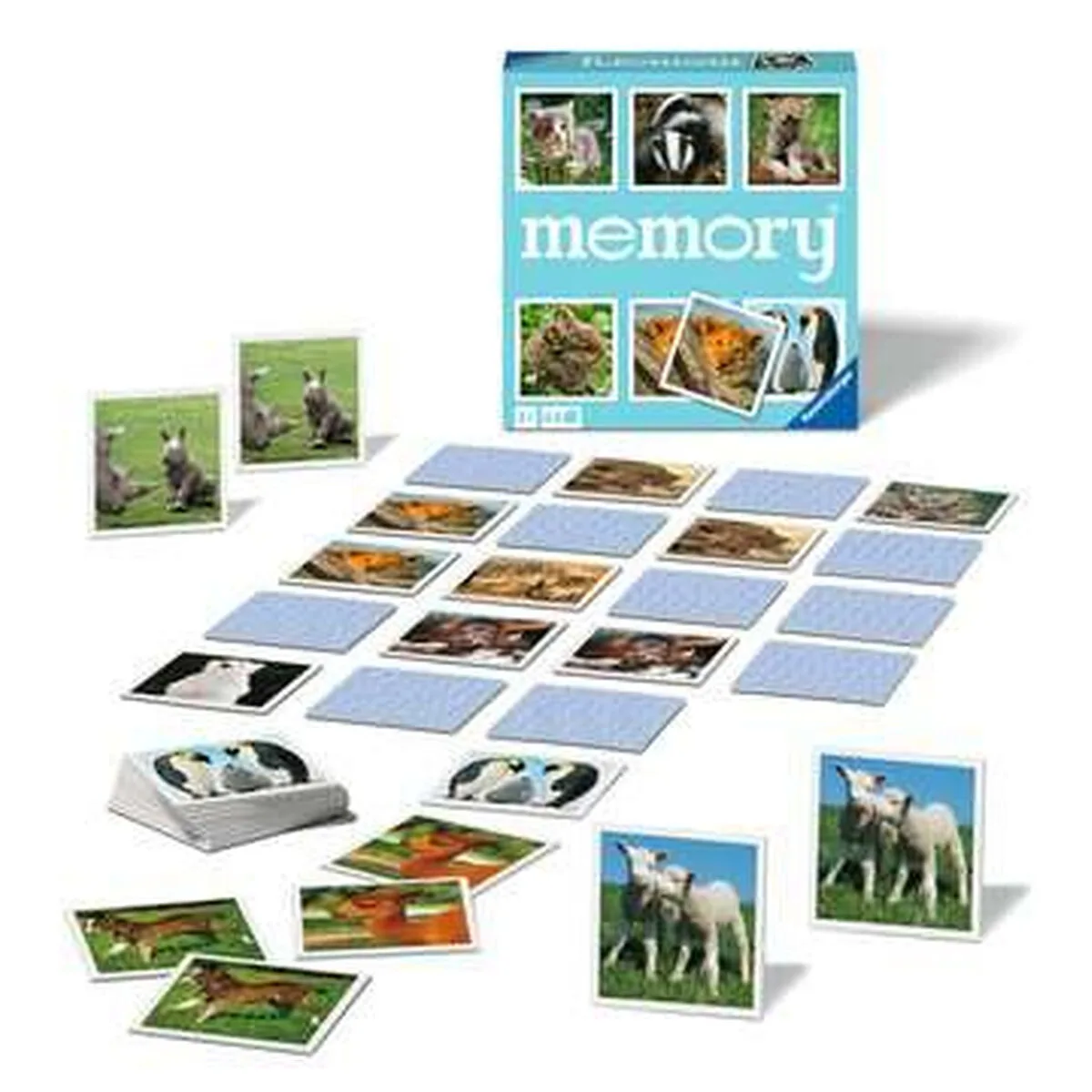 Jouet educatif ravensburger 020879 s718660586. Diaytar, c'est la boîte à outils de votre vie idéale. Des produits pour construire, embellir et optimiser votre quotidien.