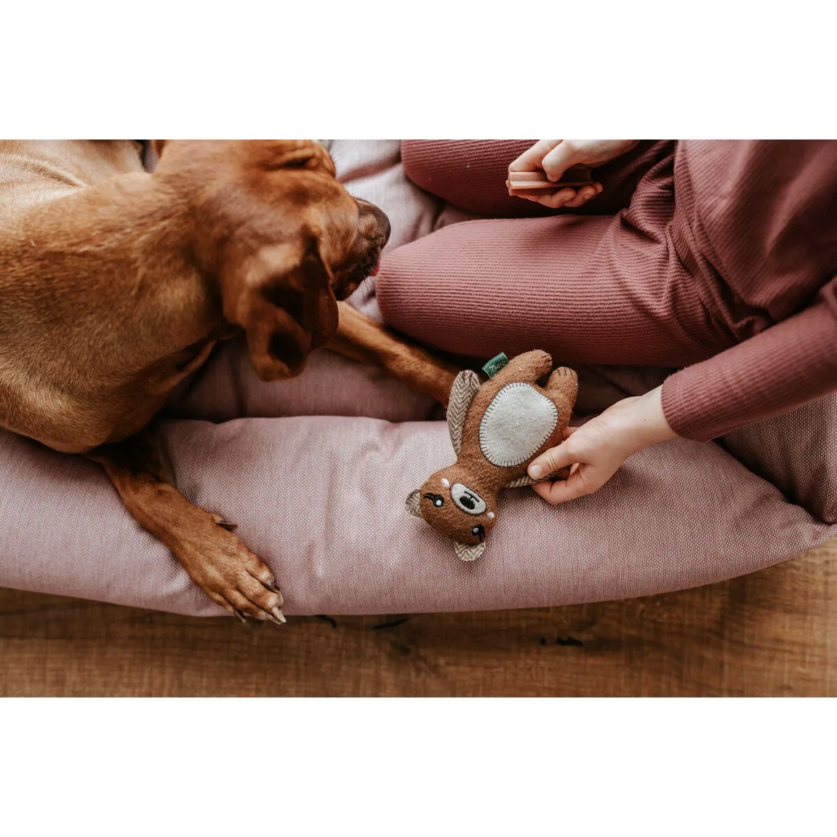 Jouet pour chien en peluche hunter marron 100 recyclado ours s610464868. Diaytar : Parce que vous méritez le meilleur, nous sélectionnons l'excellence.