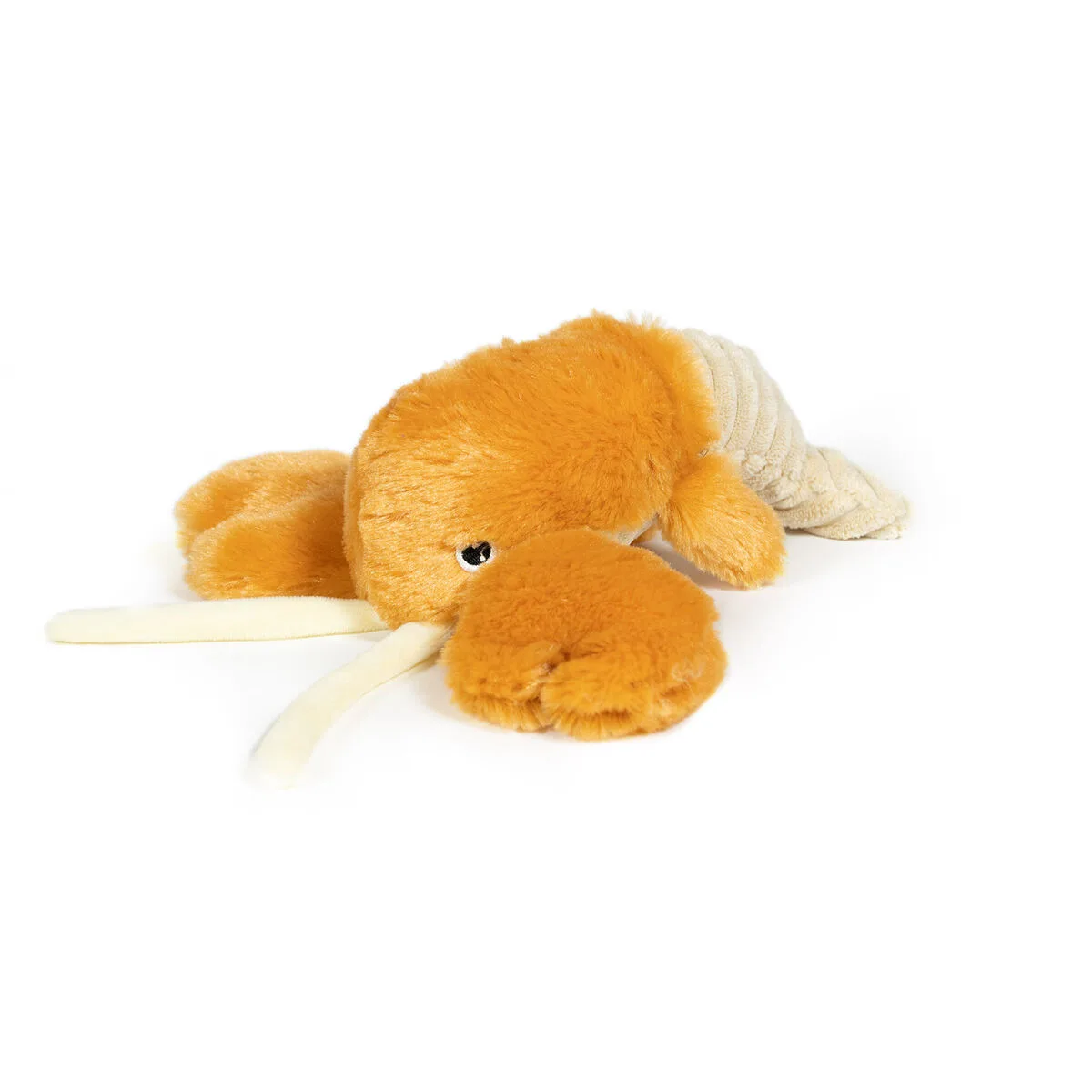 Jouet pour chien gloria orange polypropylene s610402171. Diaytar, c'est le sismographe des tendances : nous captons les vibrations du marché pour vous offrir le meilleur.