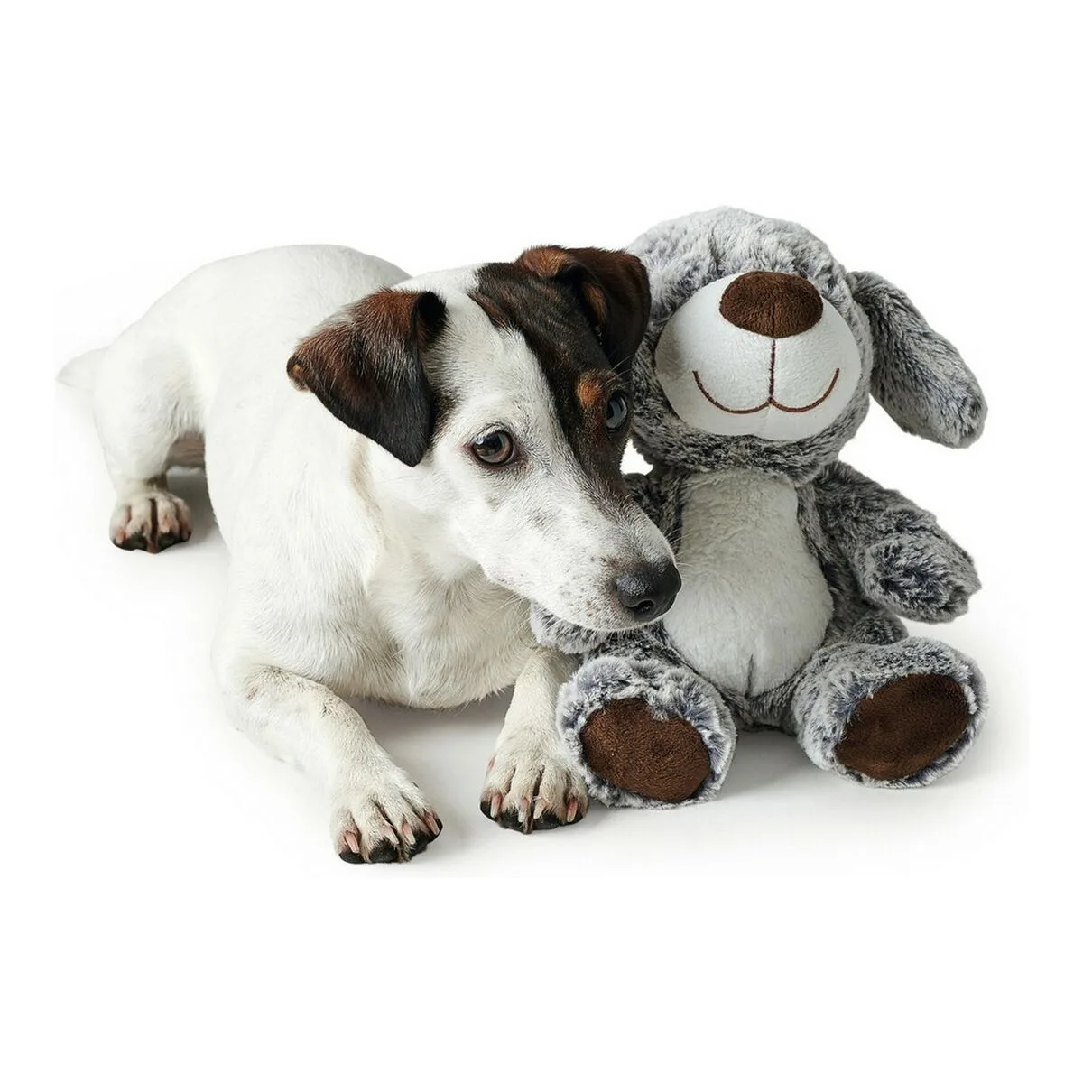Jouet pour chien hunter faro gris chien s610232530. Diaytar, c'est le point de départ de toutes vos histoires. Quel produit allez-vous choisir pour écrire la suite ?