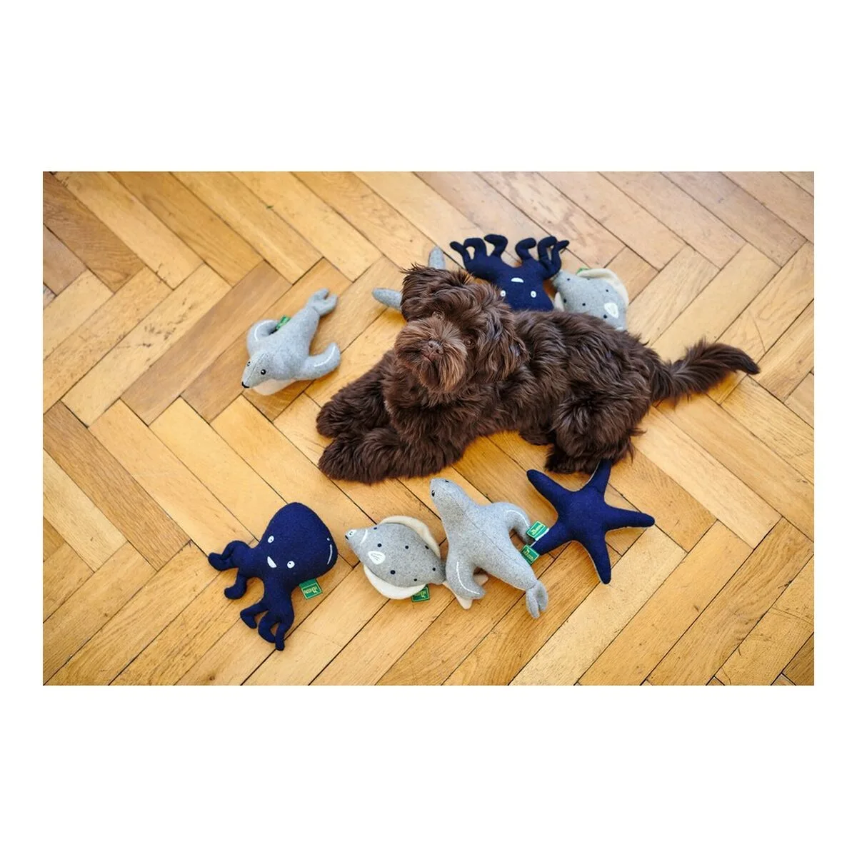 Jouet pour chien hunter skagen bleu fonce etoile de mer s610238811 Jouet pour chien hunter skagen bleu fonce etoile de mer s610238811. Pour ceux qui refusent de choisir entre fonctionnel et esthétique : Diaytar propose les deux dans chaque produit
