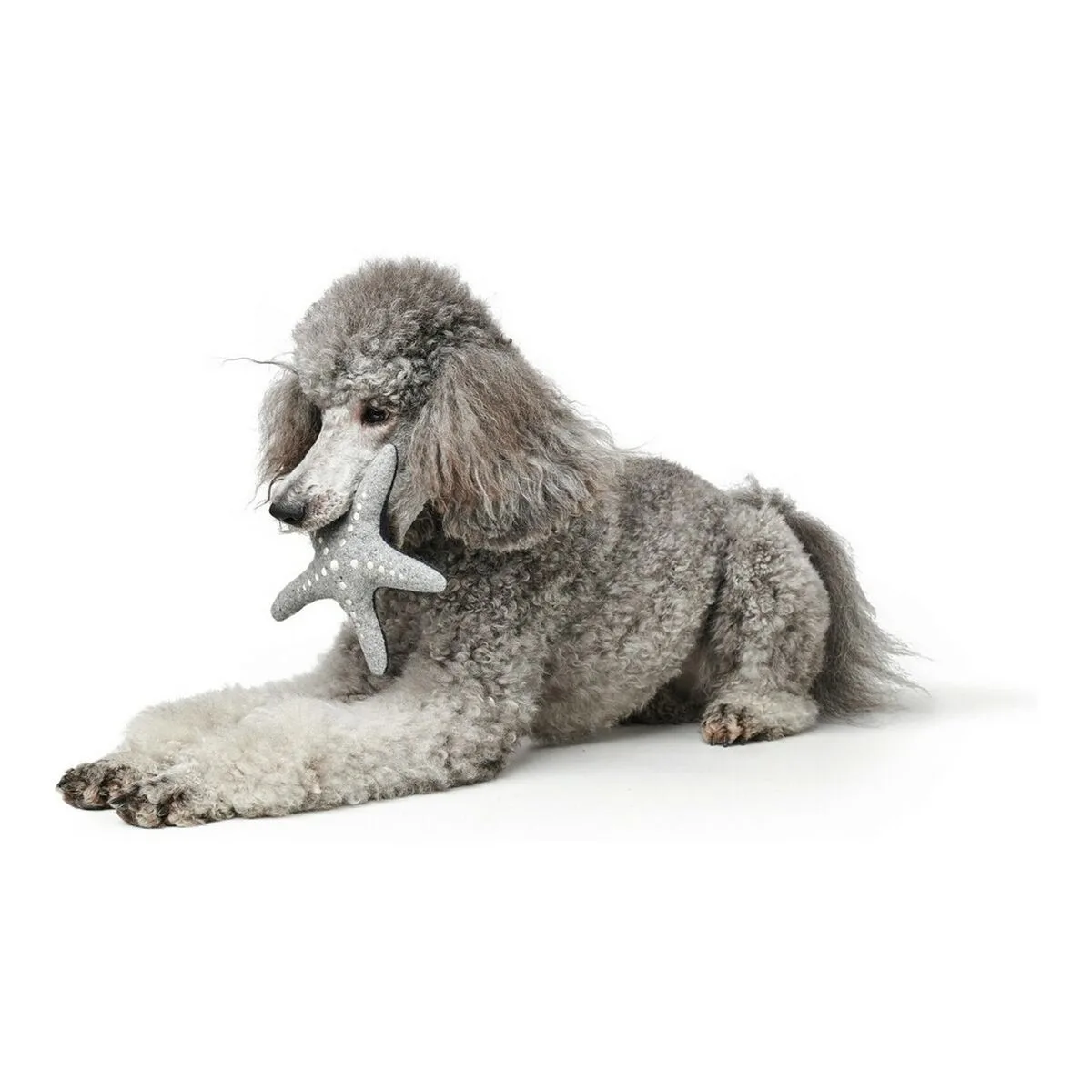 Jouet pour chien hunter skagen bleu fonce etoile de mer s610238816 Jouet pour chien hunter skagen bleu fonce etoile de mer s610238816. Bienvenue sur Diaytar, où le shopping généraliste devient une chasse au trésor pour produits tendance et innovants