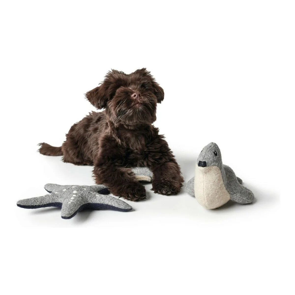 Jouet pour chien hunter skagen bleu fonce etoile de mer s610238850 Jouet pour chien hunter skagen bleu fonce etoile de mer s610238850. L'ambition de Diaytar : devenir votre boutique en ligne de référence pour tous les produits qui améliorent votre vie