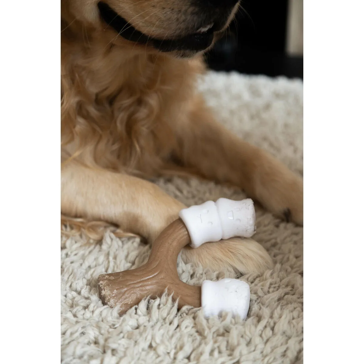 Jouet pour chien nylabone marron beurre de cacahuetes l s610528587. Osez l'expérience Diaytar et découvrez comment des produits bien choisis peuvent éléver votre qualité de vie.