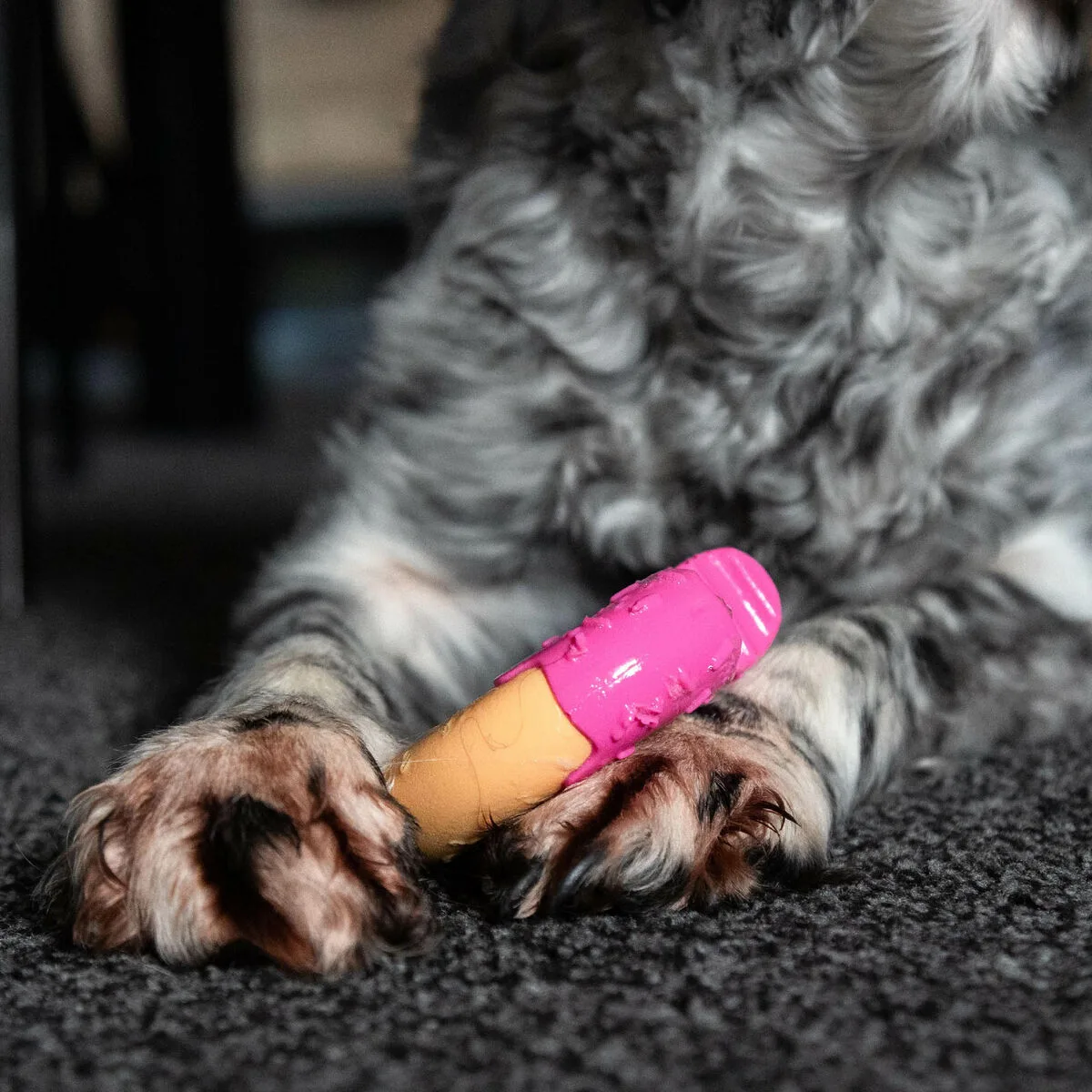 Jouet pour chien nylabone rose bacon m s610528342 Jouet pour chien nylabone rose bacon m s610528342. Diaytar, c'est la boîte à outils de votre vie idéale. Des produits pour construire, embellir et optimiser votre quotidien.