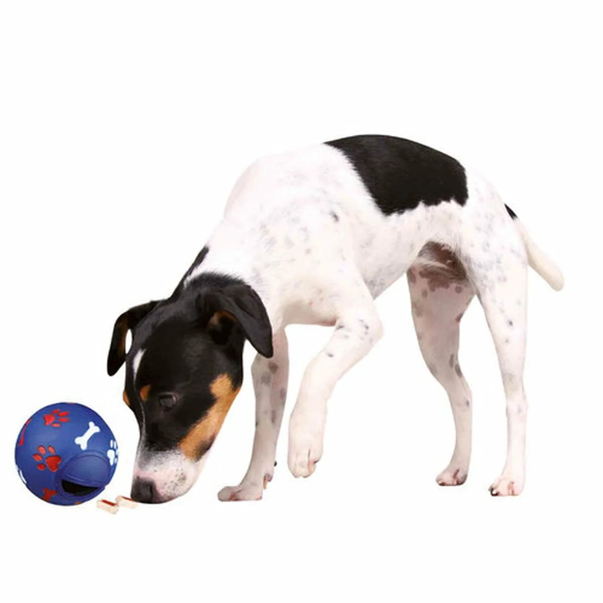 Jouet pour chien trixie 3492 bleu plastique interieur exterieur m060085775. Pour ceux qui refusent de choisir entre fonctionnel et esthétique : Diaytar propose les deux dans chaque produit