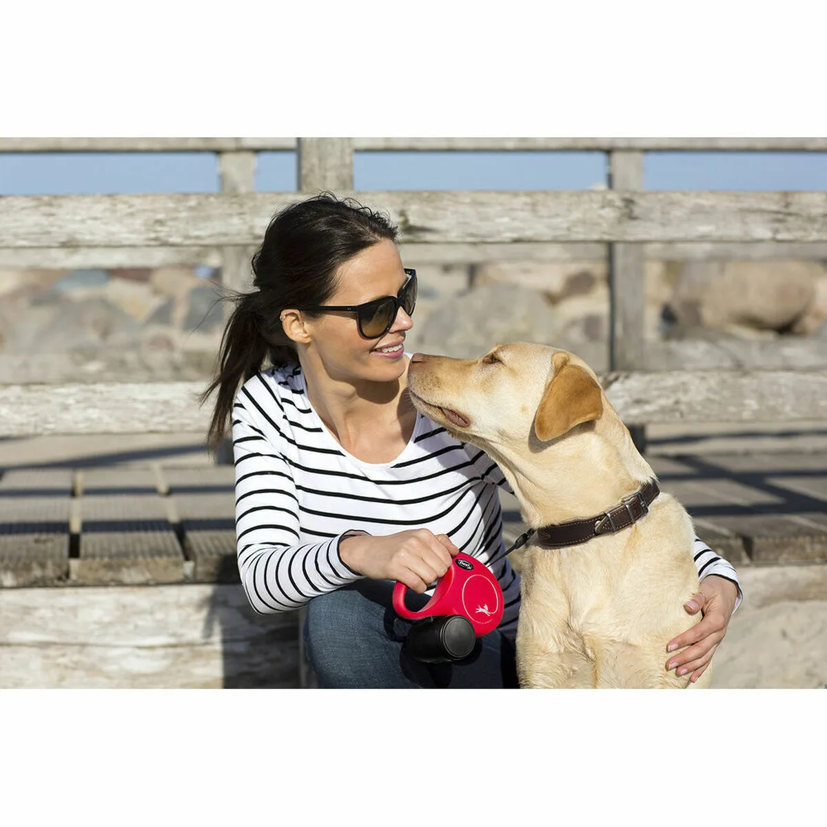 Laisse pour chien flexi flexi 5 m noir s s610223350. Diaytar, c'est l'assurance de découvrir des produits que vous ne trouverez nulle part ailleurs, tous domaines confondus