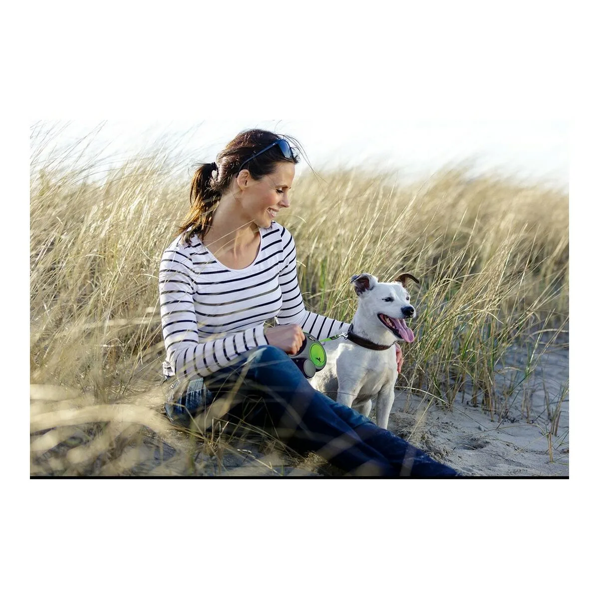 Laisse pour chien flexi new bleu s 5 m s610225029. Diaytar Home : Créez l'atmosphère parfaite dans chaque pièce de votre maison.