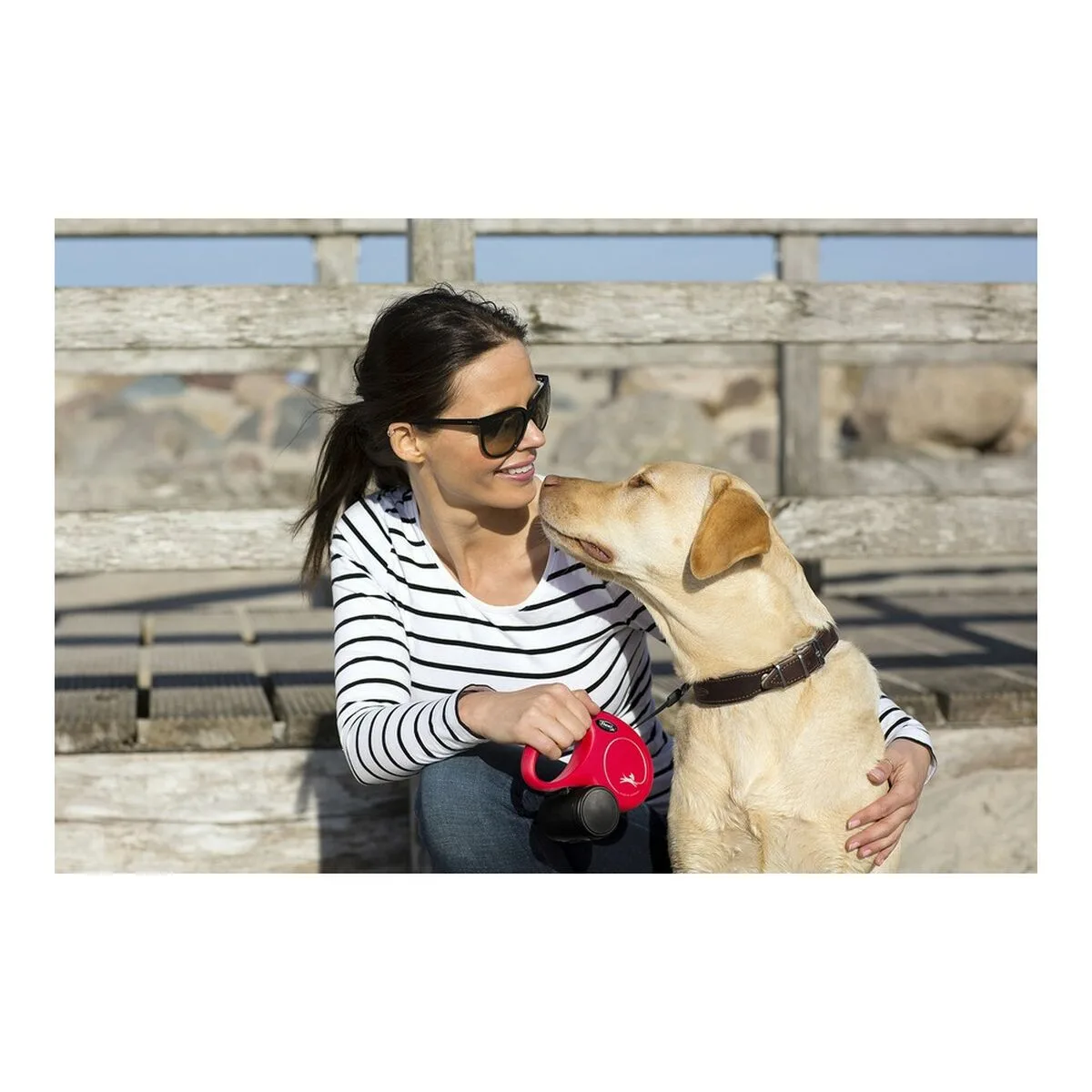 Laisse pour chien flexi new classic 5m bleu taille l s610208266. Nous avons voulu Diaytar comme une deuxième maison, remplie de produits qui vous ressemblent et vous facilitent la vie.