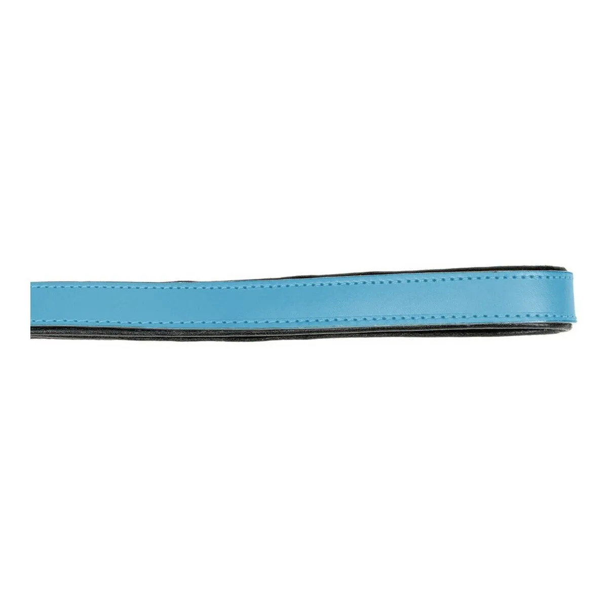 Laisse pour chien gloria 1 8 x 100 cm bleu s610319632. Diaytar, c'est la certitude de dénicher la perle rare, qu'il s'agisse d'un produit électronique de pointe ou d'un accessoire tendance
