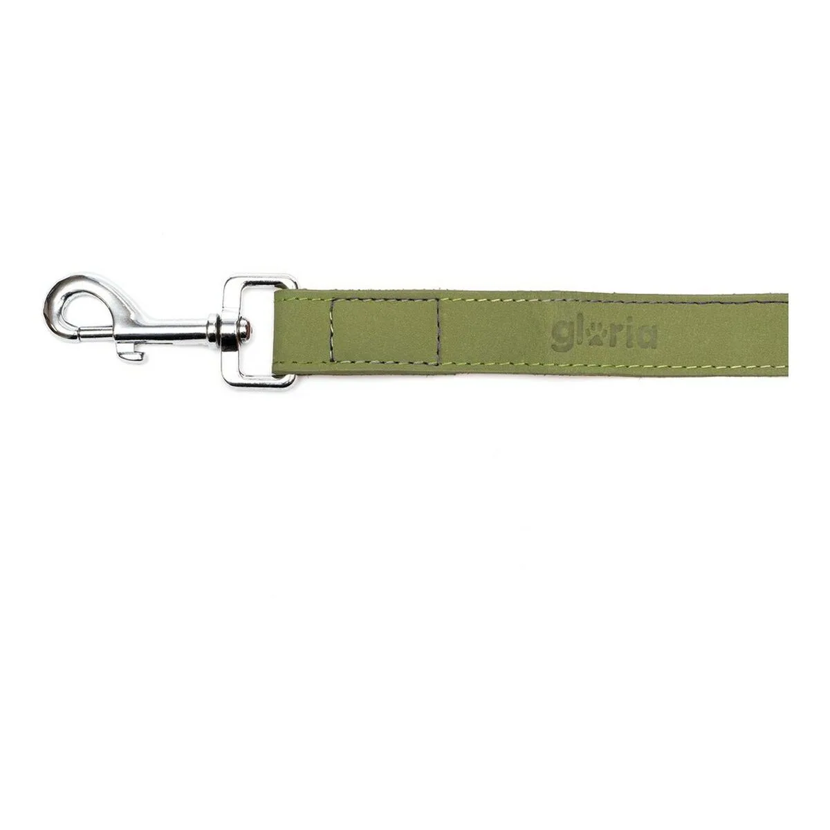 Laisse pour chien gloria oasis 2 1 x 100 cm vert s610088355. L'excellence à portée de clic avec la boutique en ligne Diaytar.