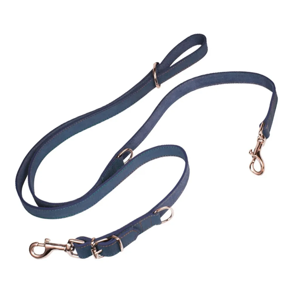 Laisse pour chien gloria oasis multiple 2 1 x 200 cm bleu s610088937. Diaytar, c'est l'assurance de découvrir des produits que vous ne trouverez nulle part ailleurs, tous domaines confondus