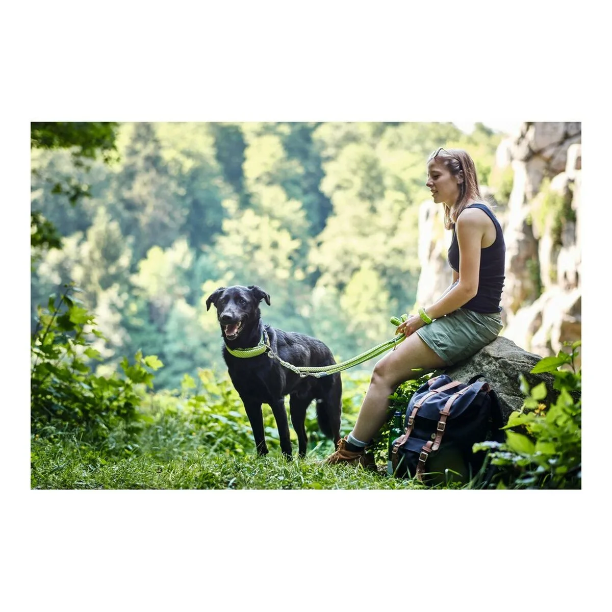Laisse pour chien hunter hilo citron 200 cm s610275213. Diaytar, c'est la preuve que le génie réside dans les détails. Chaque produit a été scruté, pesé, et approuvé.