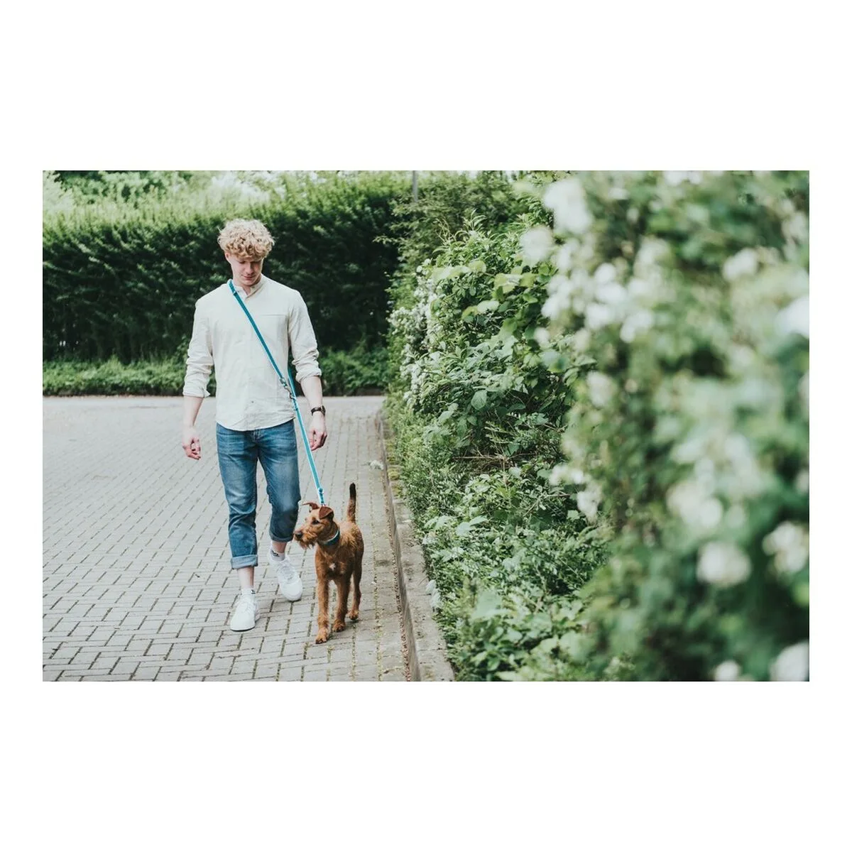 Laisse pour chien hunter hilo marron 200 cm s610127835. Diaytar s'adapte à vos besoins avec une gamme complète et variée.
