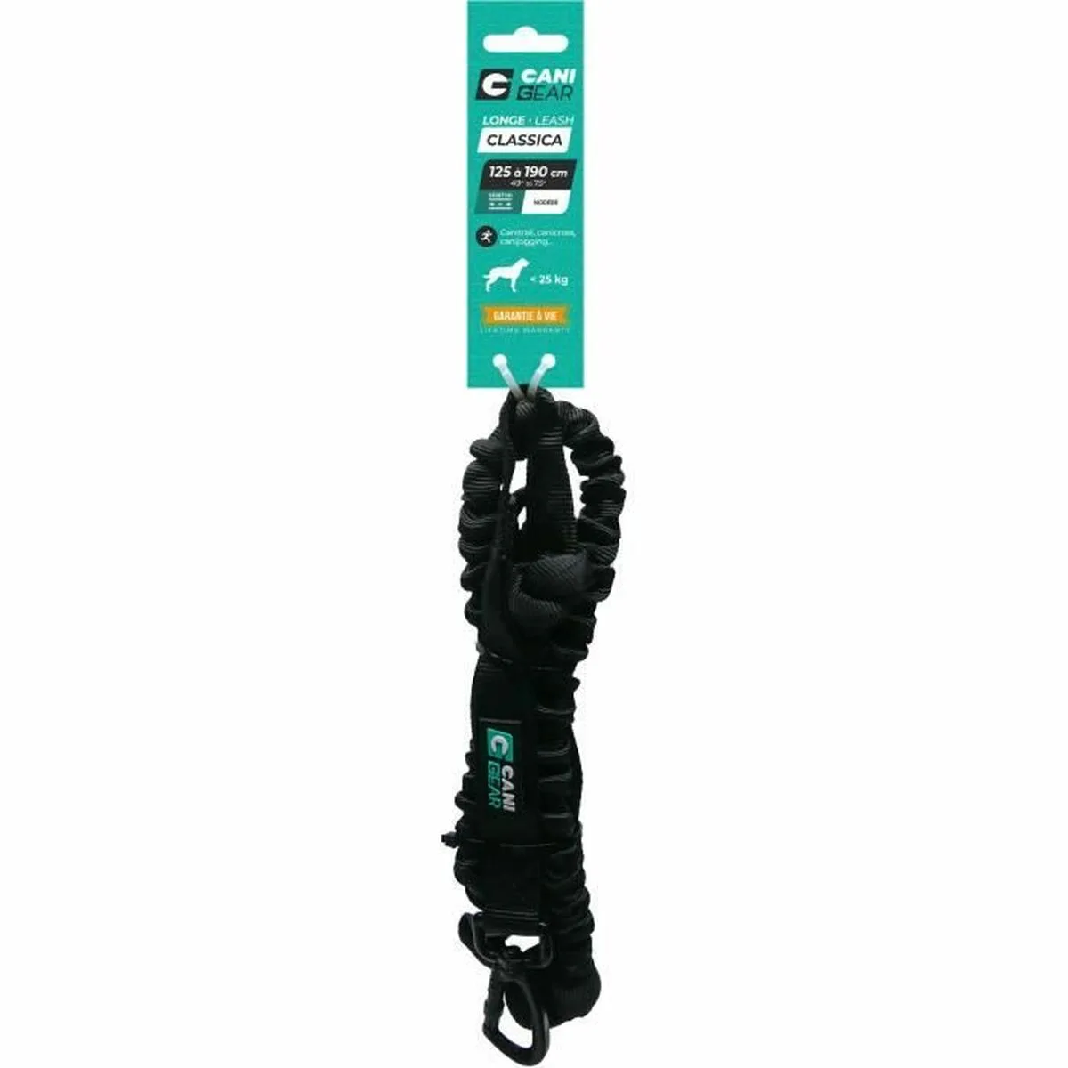 Laisse pour chien noir s7100942171. Chez Diaytar, nous transformons vos envies en réalité avec style.