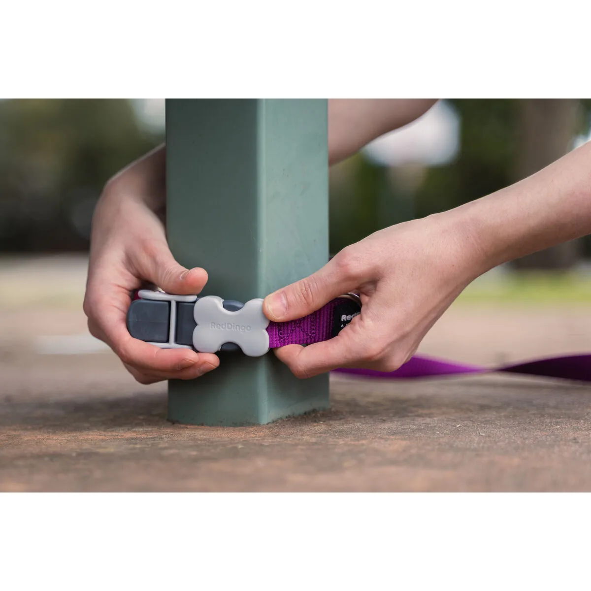 Laisse pour chien red dingo noir s610408134. La qualité Diaytar : un engagement, une promesse, une satisfaction garantie.