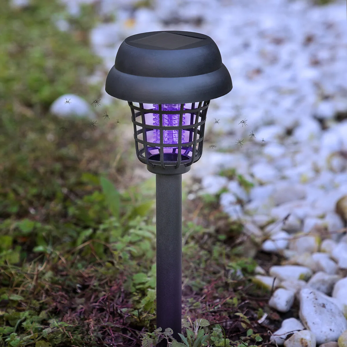 Lampe de jardin solaire anti moustiques garlam innovagoods v010349618. Diaytar, c'est la promesse de découvrir au moins un produit qui vous fera dire 'Mais où était-il donc tout ce temps ?'.
