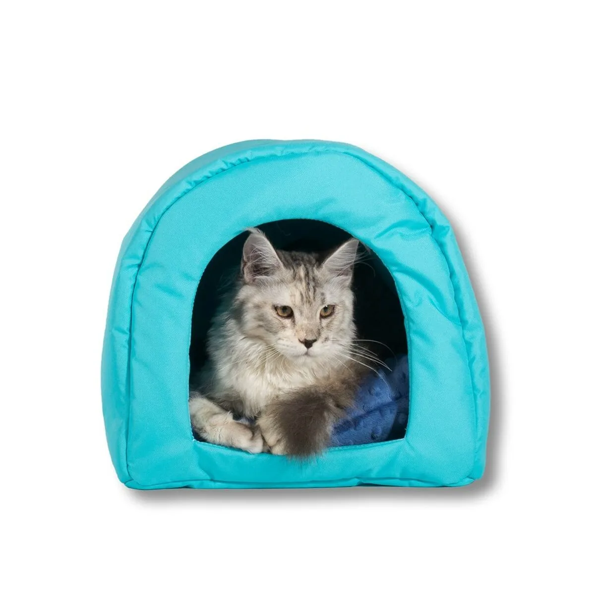 Lit pour animal domestique go gift bleu 40 x 29 x 3 cm s914230164. Diaytar incarne le nouveau visage du e-commerce : agile, éclectique et profondément ancré dans les tendances du moment