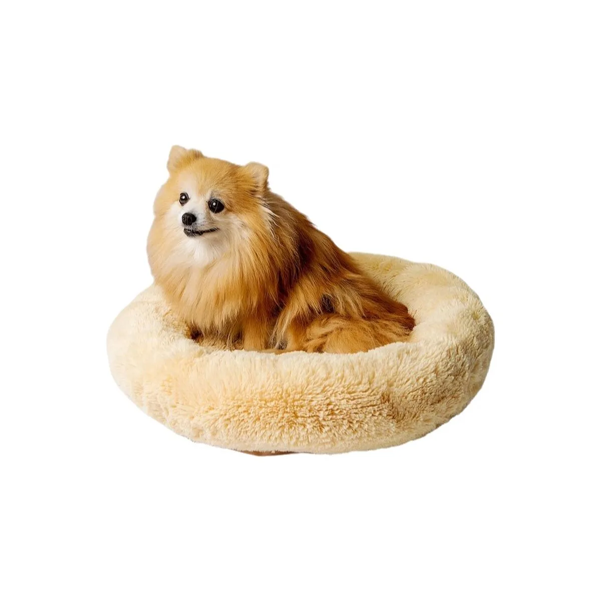 Lit pour animal domestique go gift l 66 x 120 x 66 cm s914240970. Diaytar, le trait d'union entre vos besoins pratiques et vos aspirations esthétiques, à travers une offre généraliste pointue