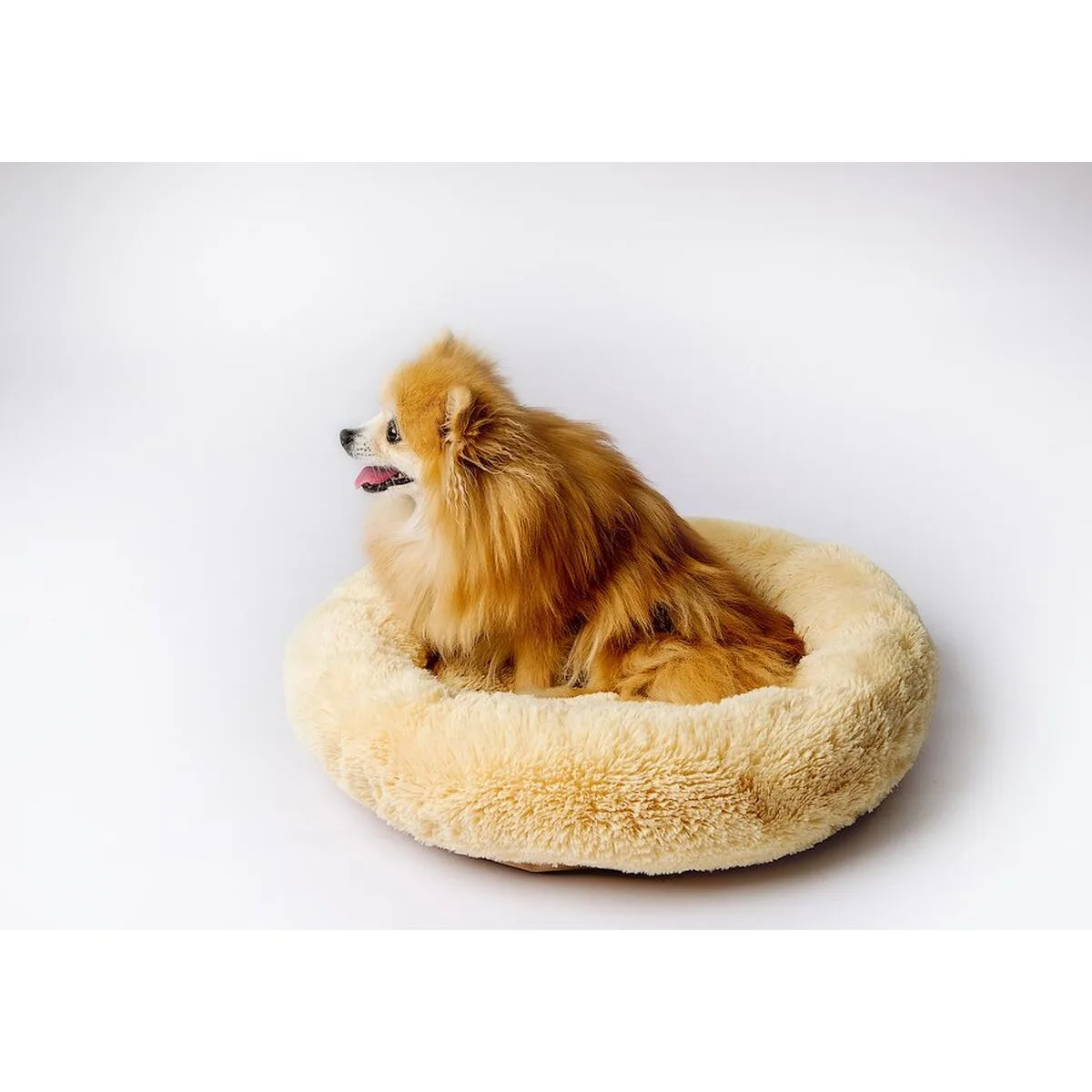 Lit pour animal domestique go gift m 50 x 10 x 57 cm s913851982. L'aventure Diaytar commence ici : parcourez un catalogue généraliste unique où la surprise et la qualité sont au rendez-vous