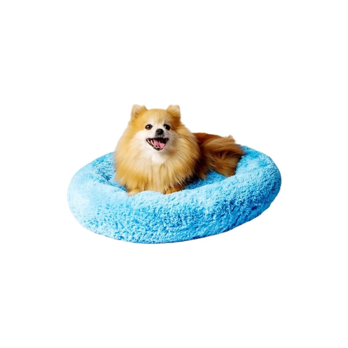 Lit pour animal domestique go gift m bleu 50 x 10 x 57 cm s913852045. Diaytar, c'est le cocktail parfait entre l'esprit start-up et l'expertise d'un grand commerçant généraliste.