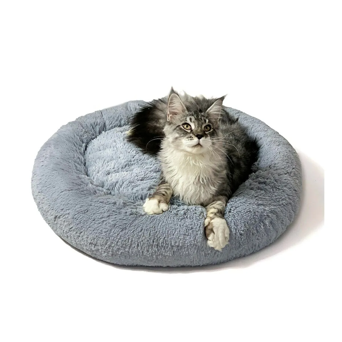 Lit pour animal domestique go gift m gris 50 x 10 x 57 cm s913851872. Diaytar, c'est l'évidence que quand on aime les produits, on ne compte pas. On les collectionne. À vous de jouer.