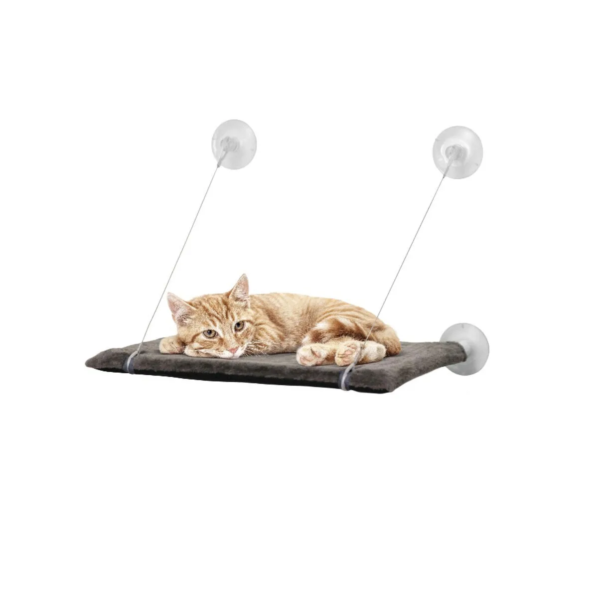 Lit pour chat united pets s610466171. Diaytar, c'est votre garantie contre la déception. Des produits testés et approuvés, pour un shopping en toute sérénité.