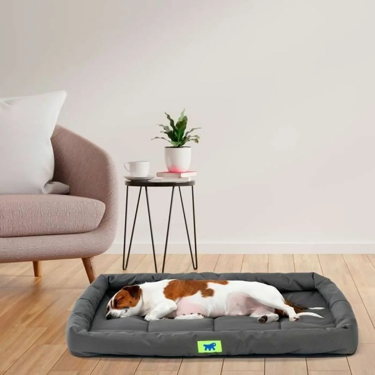 Lit pour chien ferplast s7101643577. Diaytar, c'est le cercle vertueux : des produits de qualité qui améliorent votre vie, qui vous rendent heureux, alors vous revenez.
