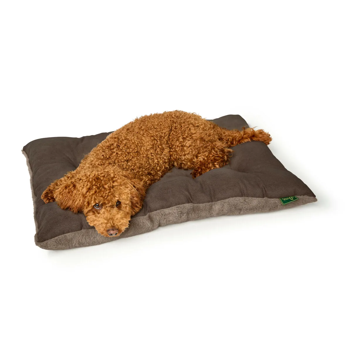 Lit pour chien hunter rockford marron 100 x 70 cm s610514188. L'aventure Diaytar est une quête permanente de sens et d'esthétisme à travers des produits soigneusement pensés.