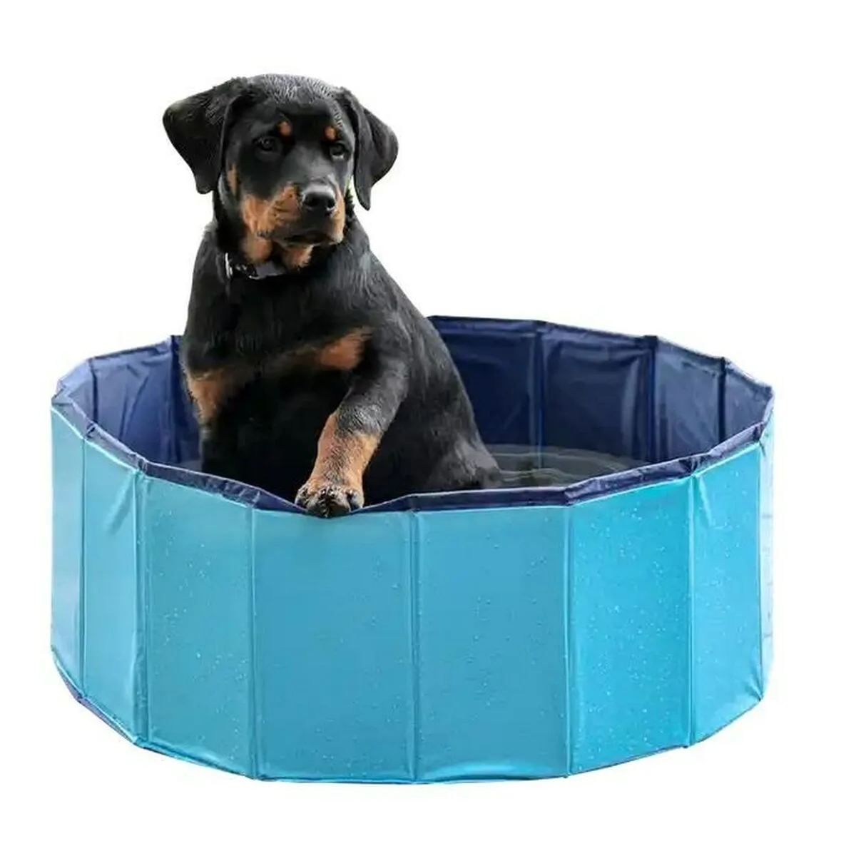Lit pour chien petitto diamentiq bleu 120 cm s919124865. Nous sommes les storytellers du produit ordinaire devenu extraordinaire. Bienvenue dans le récit Diaytar.