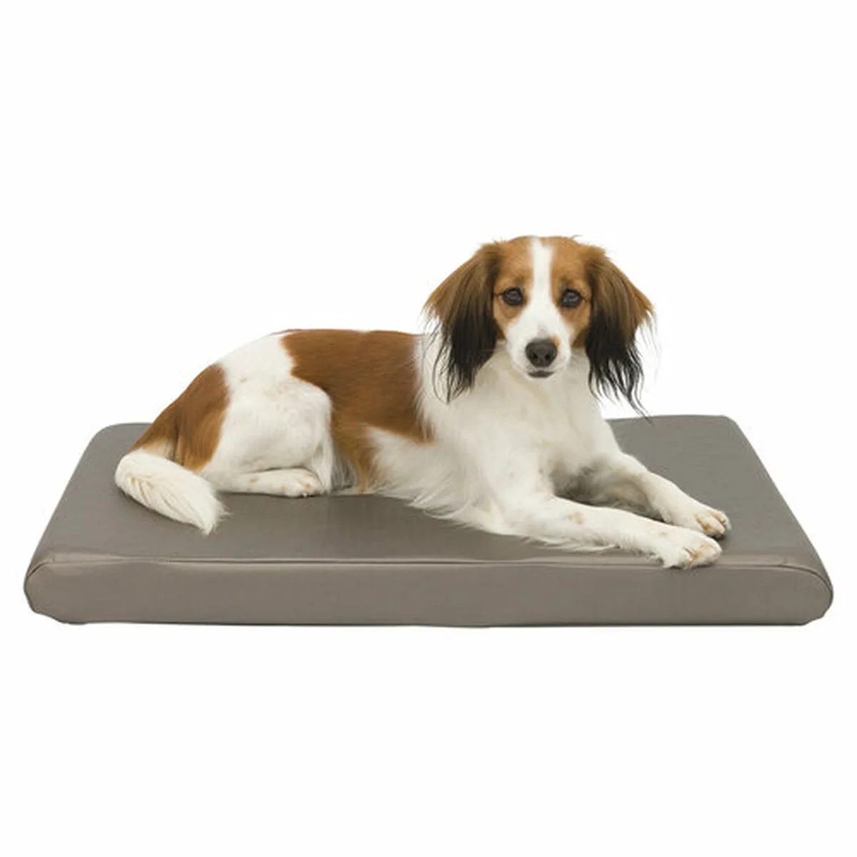 Lit pour chien trixie sansa taupe metallic 65x40 cm m060428952. Diaytar anticipe les tendances pour vous offrir le meilleur de la mode.