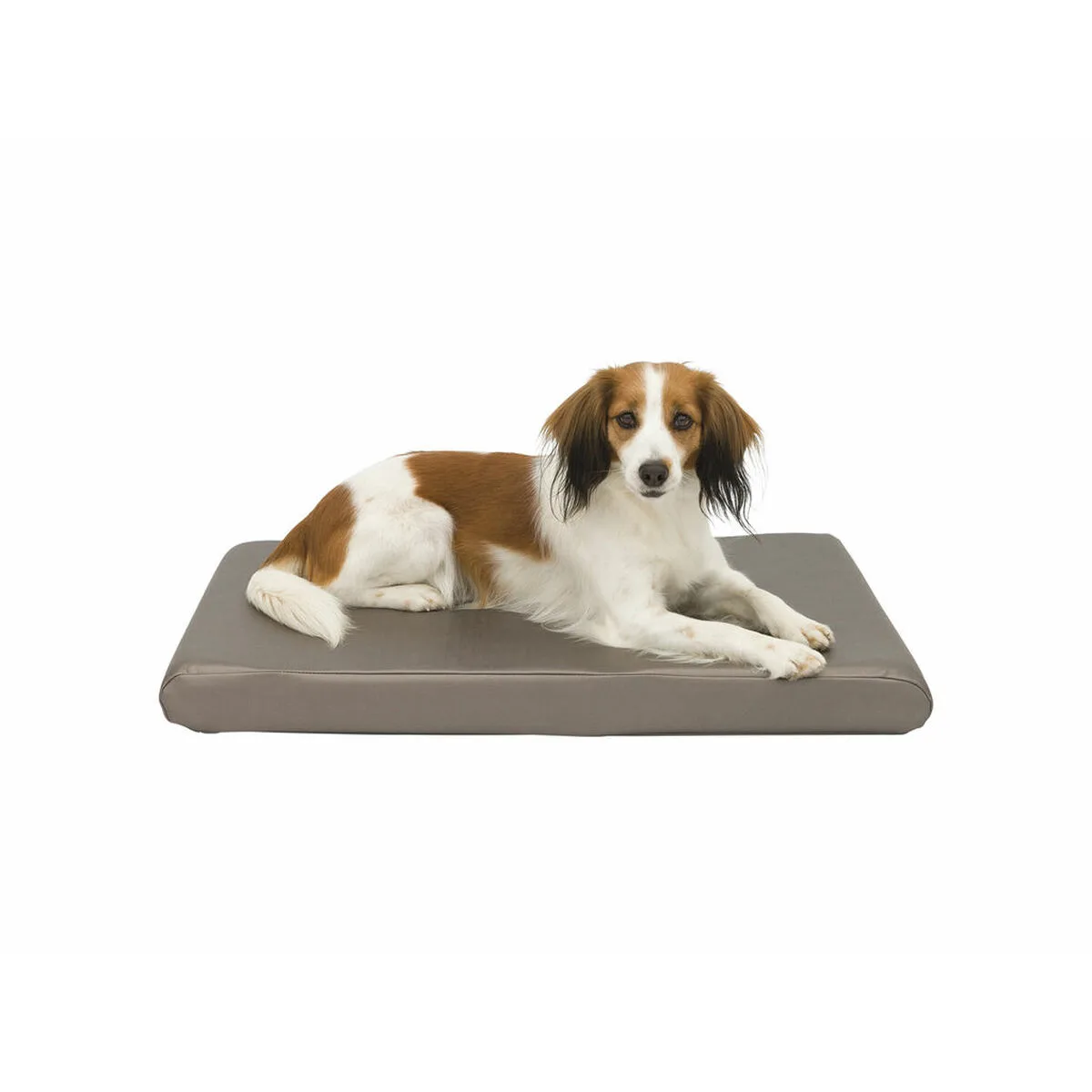 Lit pour chien trixie sansa taupe metallic 65x40 cm m060428959. Avec Diaytar, redécouvrez le plaisir de l'achat en ligne grâce à une approche humaine des produits et de la curation