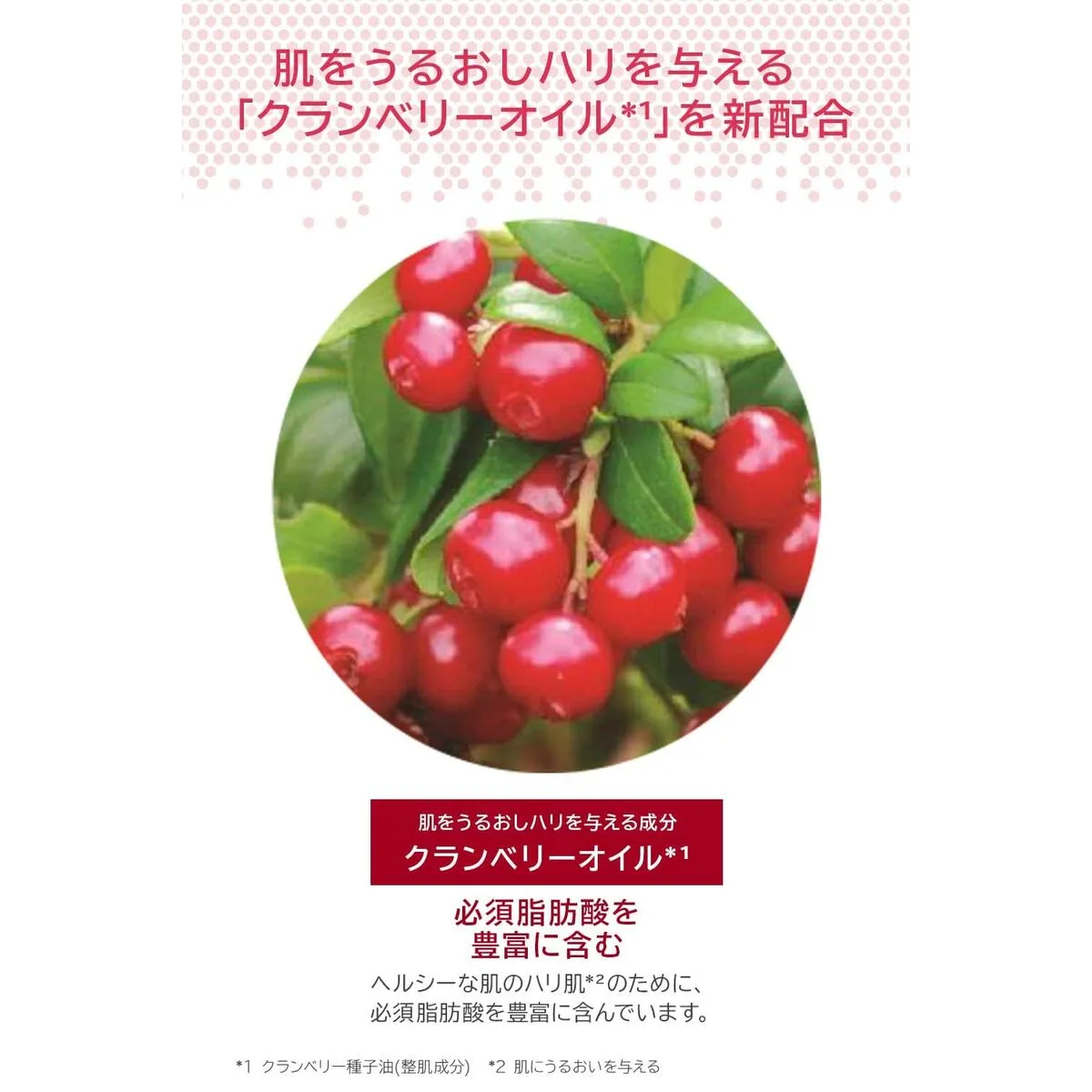 Lotion corporelle melvita l or rose s0514474890. Chez Diaytar, nous ne vendons pas que des produits, nous proposons des solutions, du rêve et un peu de magie au quotidien