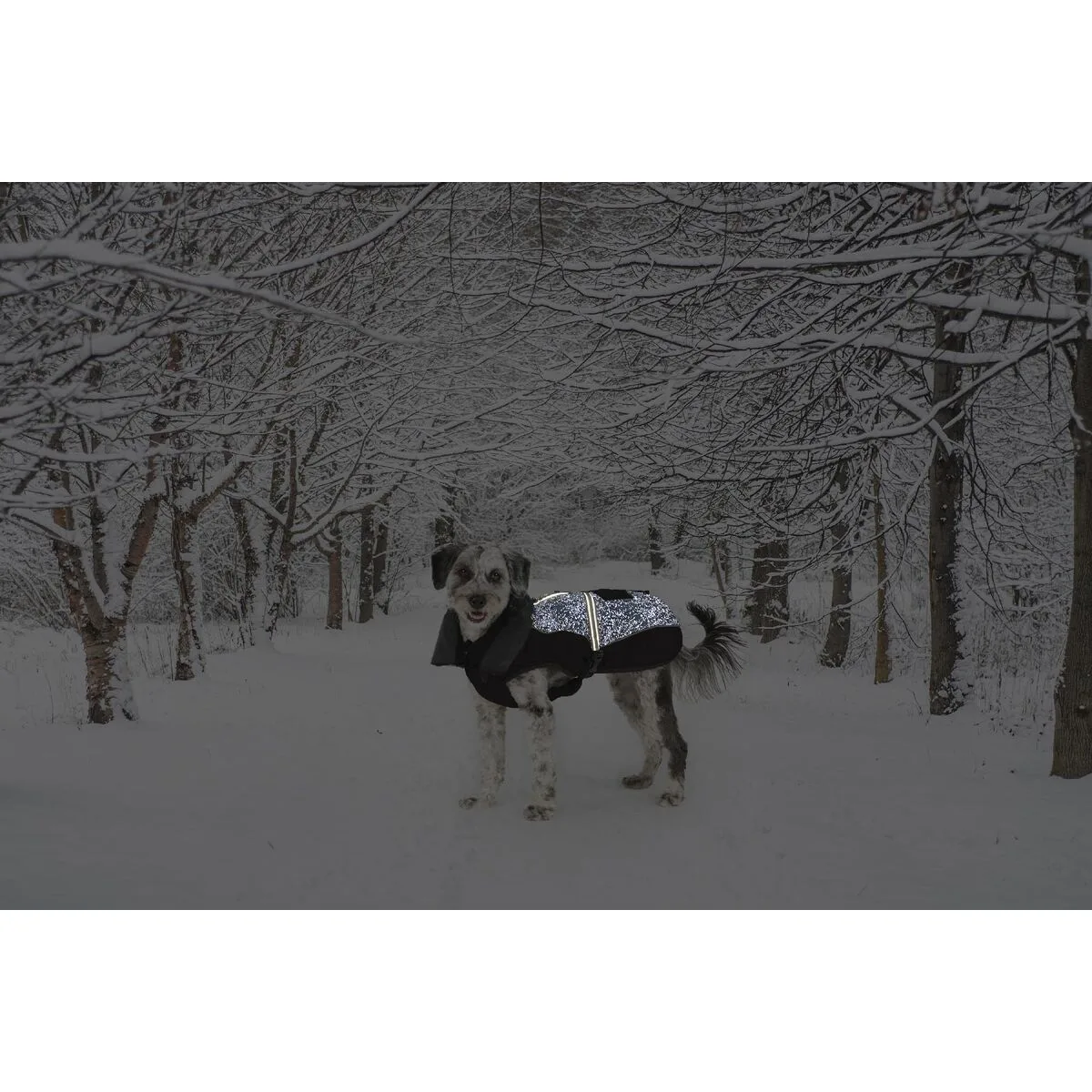 Manteau pour chien dog gone smart noir 40 cm s610491334. Diaytar, c'est la démonstration que le meilleur des produits est à portée de clic, sans compromis, sans attente.