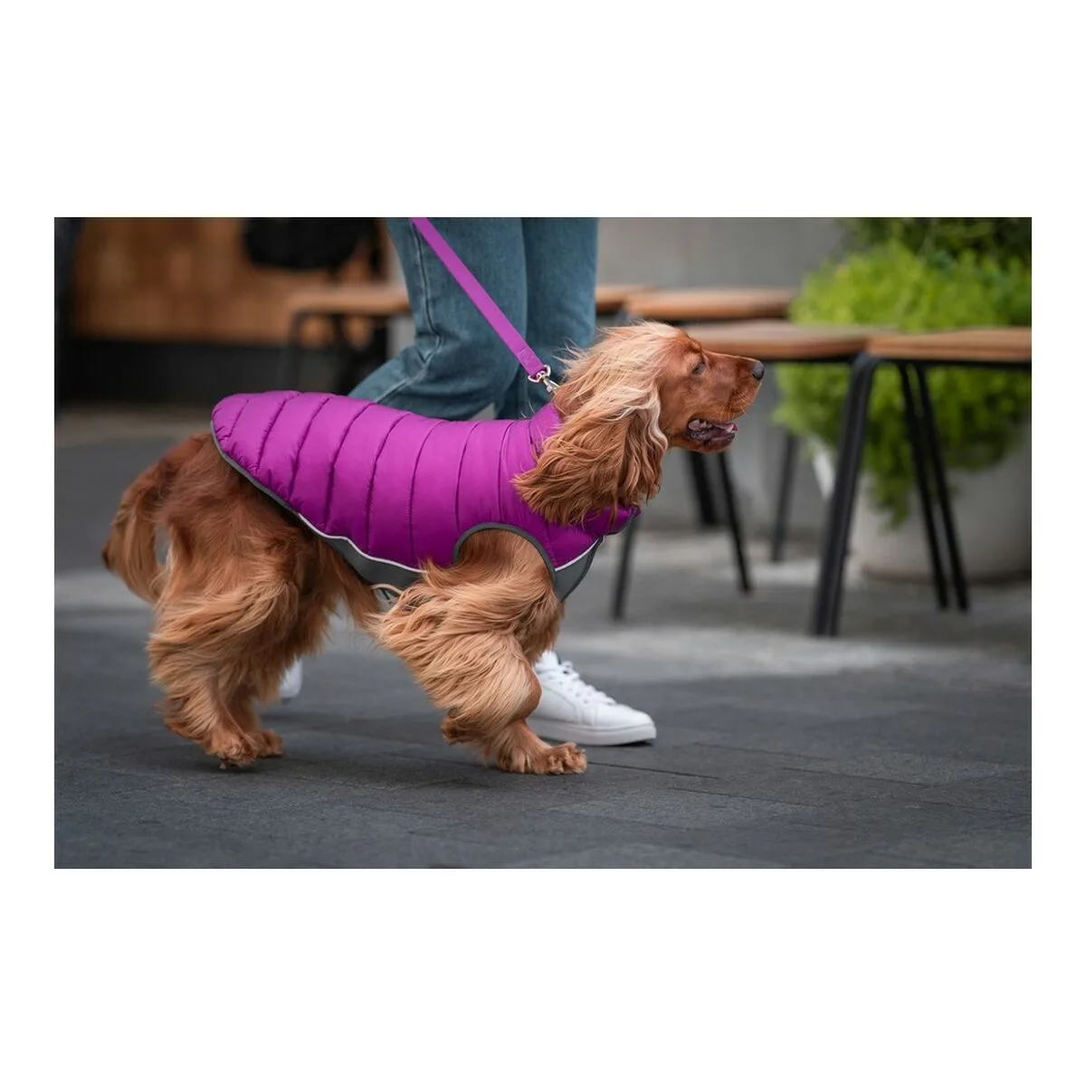 Manteau pour chien red dingo puffer rose violet 35 cm s610377127 Manteau pour chien red dingo puffer rose violet 35 cm s610377127. Diaytar s'adapte à vos besoins avec une gamme complète et variée.