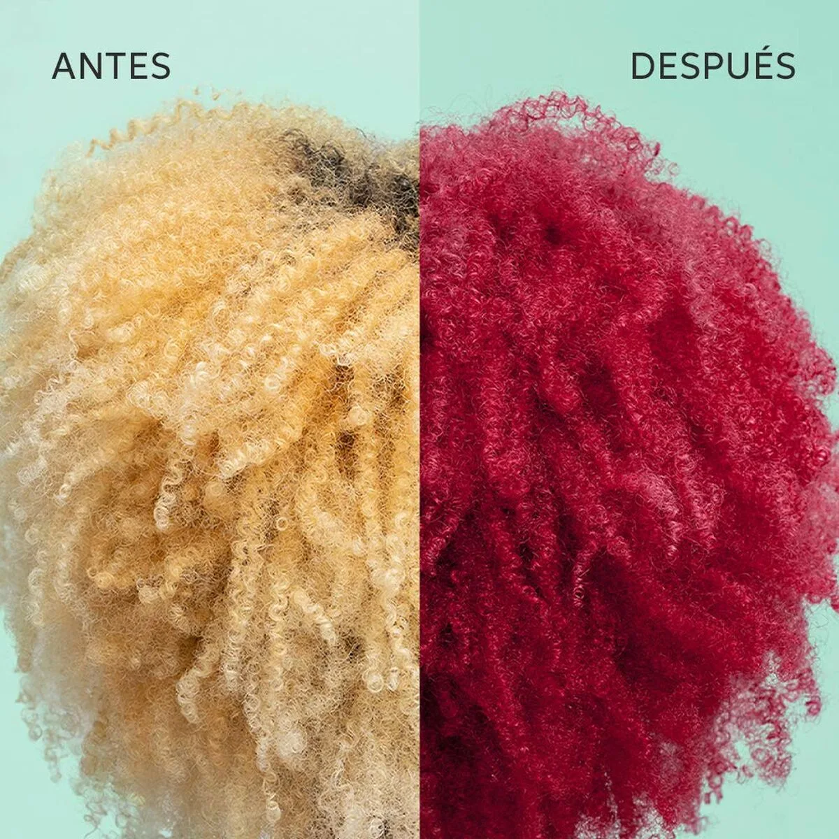 Masque pour cheveux wella color fresh 150 ml s0512471866. Diaytar, c'est la solution élégante à tous vos problèmes du quotidien, et la source de nouvelles envies insoupçonnées.