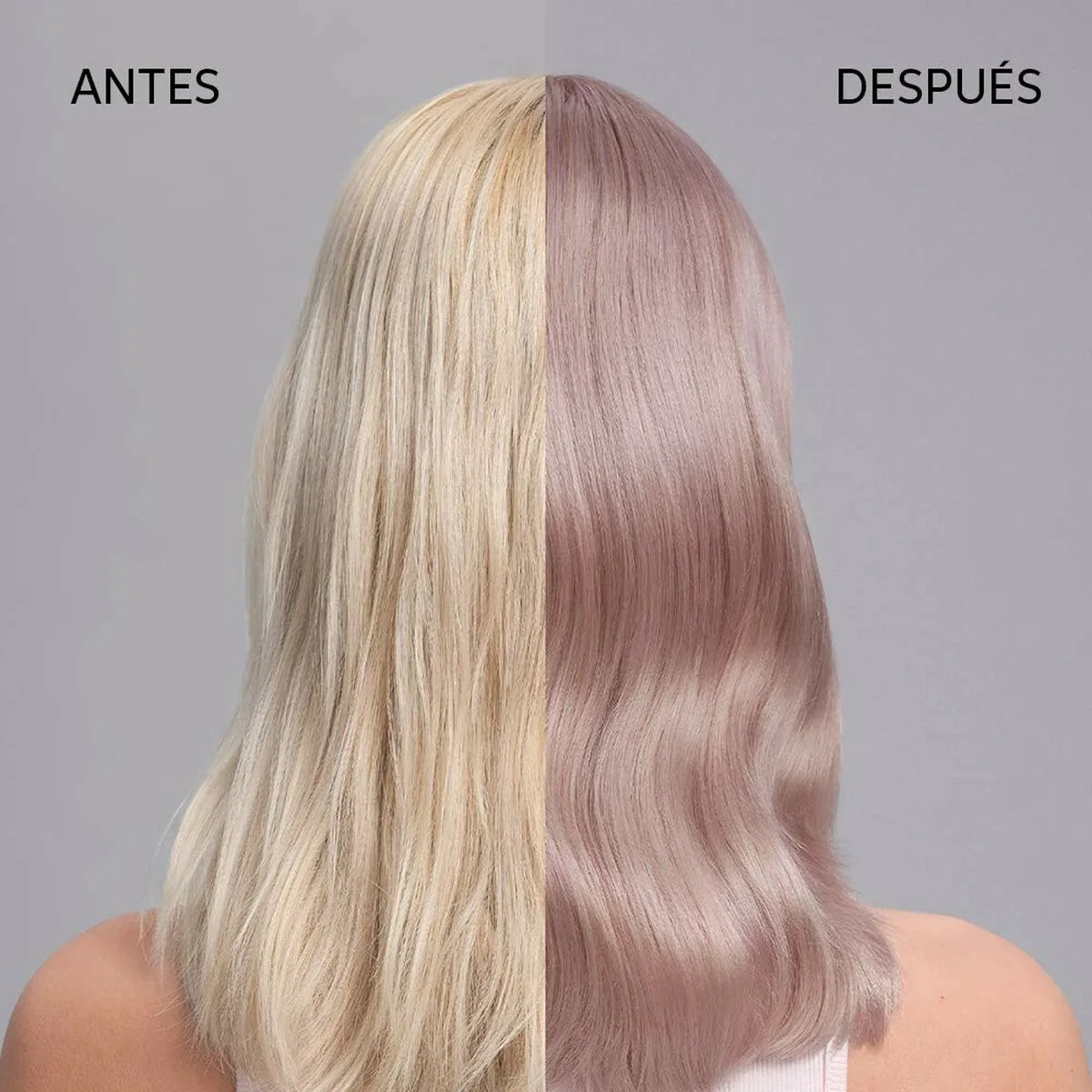 Masque pour cheveux wella color fresh 150 ml s0512508430. Diaytar - L'art de bien vivre commence ici. Découvrez nos collections exclusives.