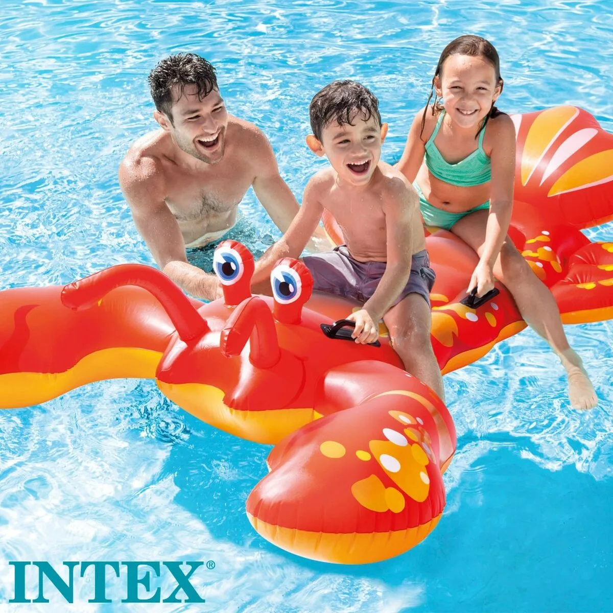 Matelas gonflable langouste intex s7100142366. Diaytar, c'est la preuve que le génie réside dans les détails. Chaque produit a été scruté, pesé, et approuvé.