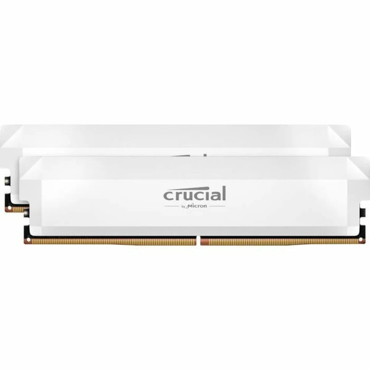 Memoire ram crucial cp2k32g60c40u5w 64 gb ddr5 6000 mhz cl40 s7101347510. Diaytar, c'est le résultat de years of market research condensé en une seule plateforme intuitive et généreuse.
