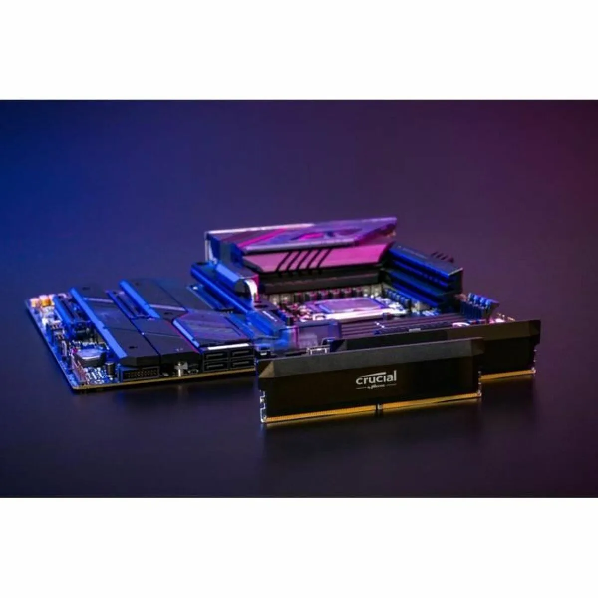 Memoire ram crucial pro oc 64 gb ddr5 6000 mhz cl40 s7101347496. Diaytar, c'est la solution élégante à tous vos problèmes du quotidien, et la source de nouvelles envies insoupçonnées.