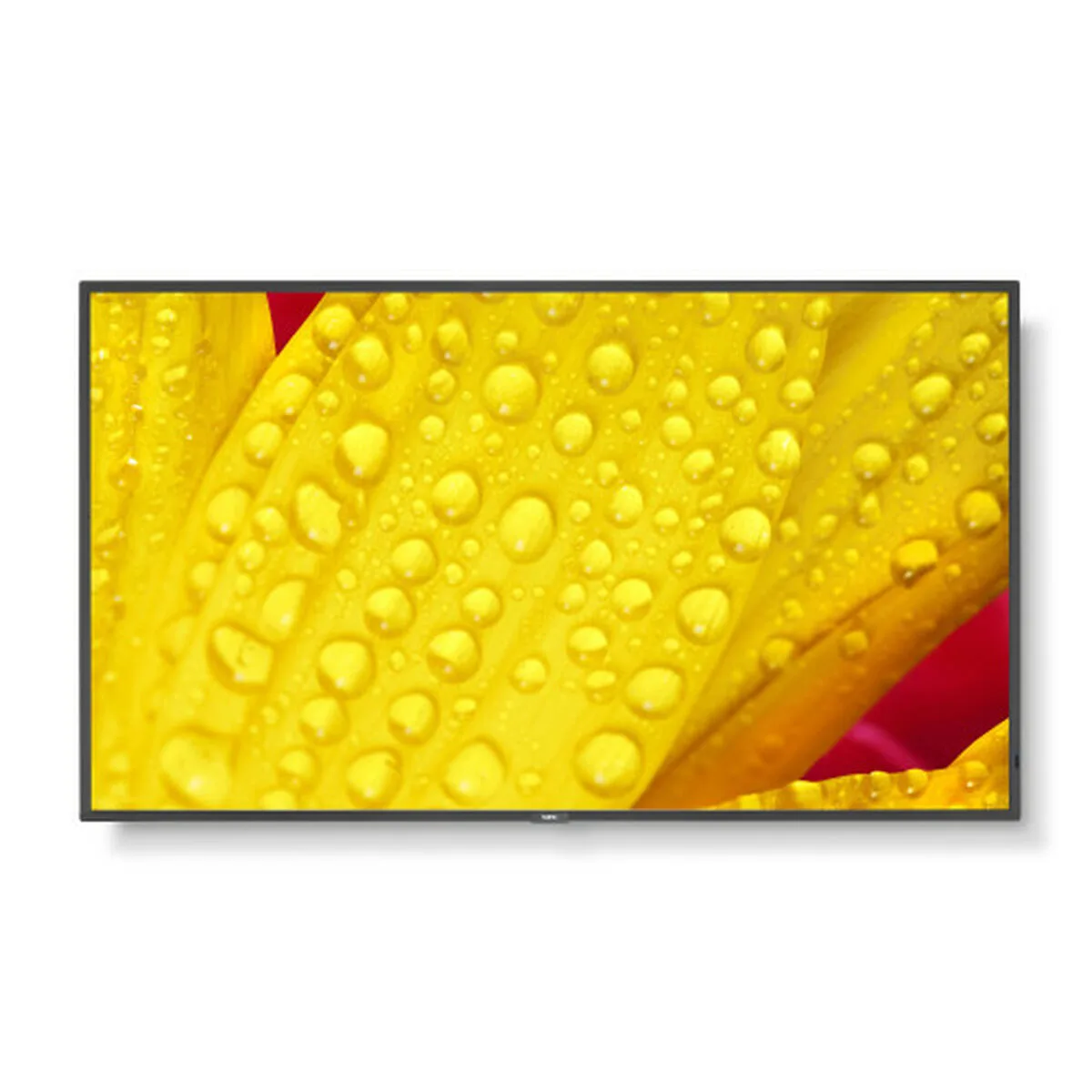 Moniteur videowall nec 60006085 4k ultra hd 50 s5529934783. Nous traitons chaque produit Diaytar avec le même respect que si nous devions l'offrir à un proche. La qualité est non-négociable.