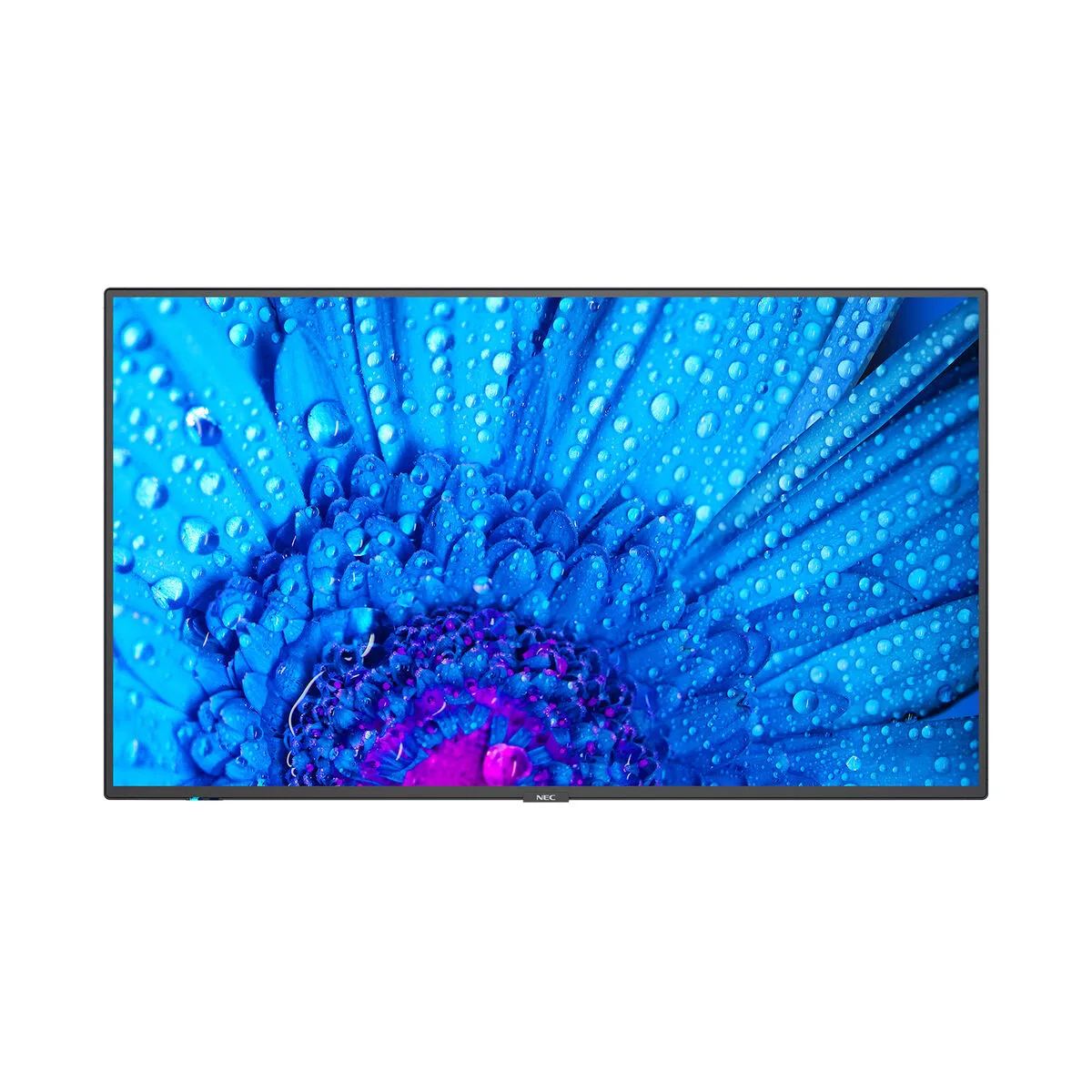 Moniteur videowall nec m431 4k ultra hd 43 240 hz 60 hz s5526959940. Diaytar : Votre portail vers un monde de produits où la frontière entre l'essentiel et le superflu devient délicieusement floue